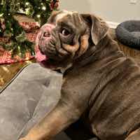 Tyson