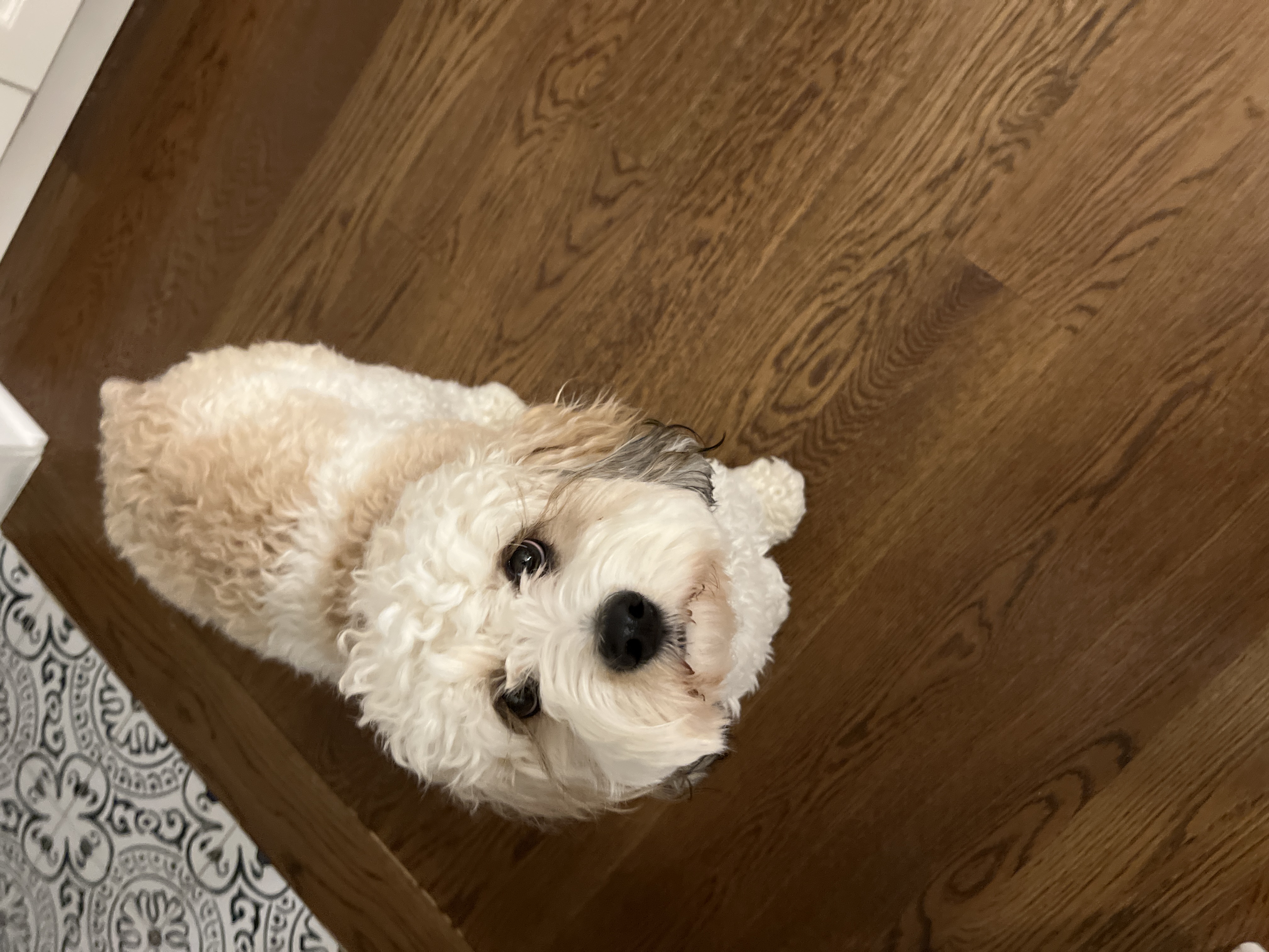 Charlie