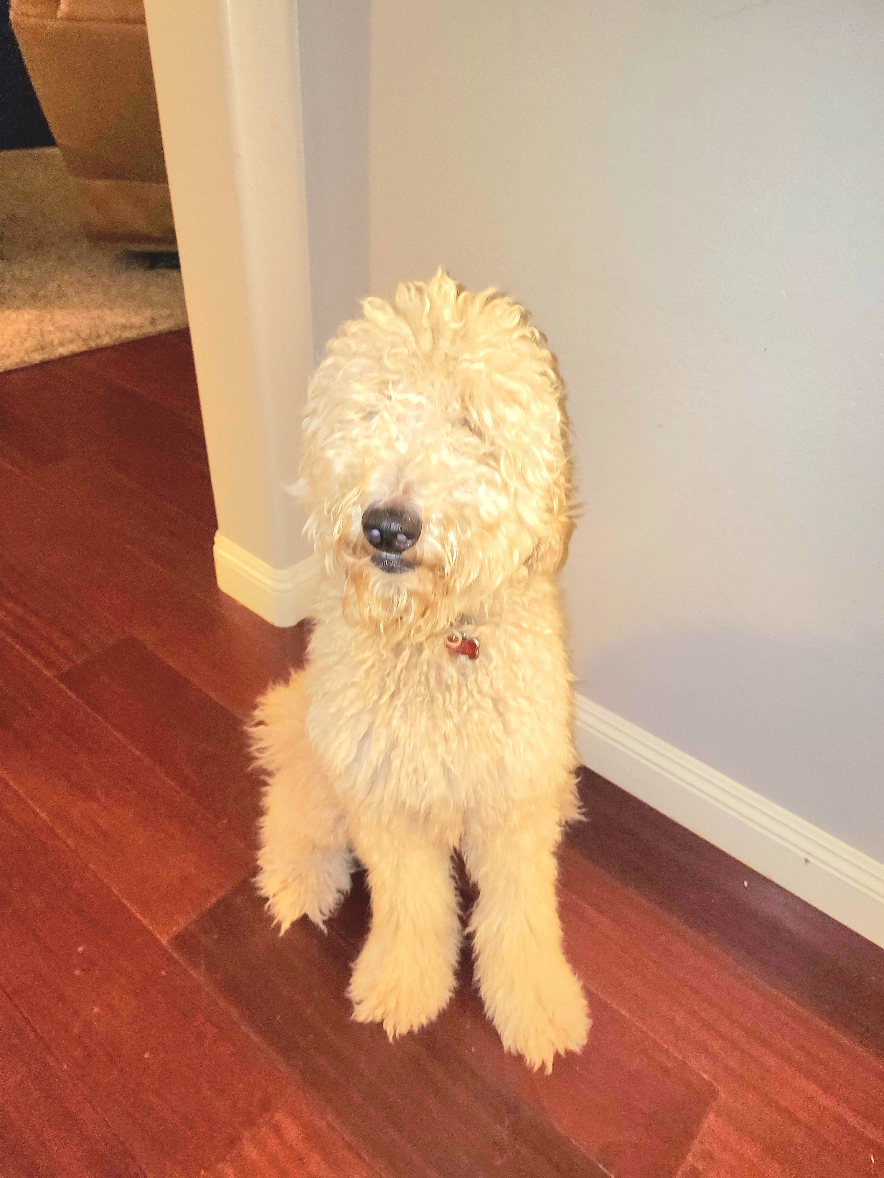 Baxter