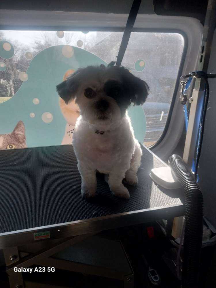 Zoey