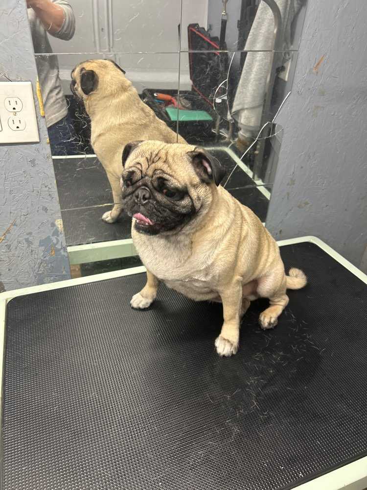 Tucker