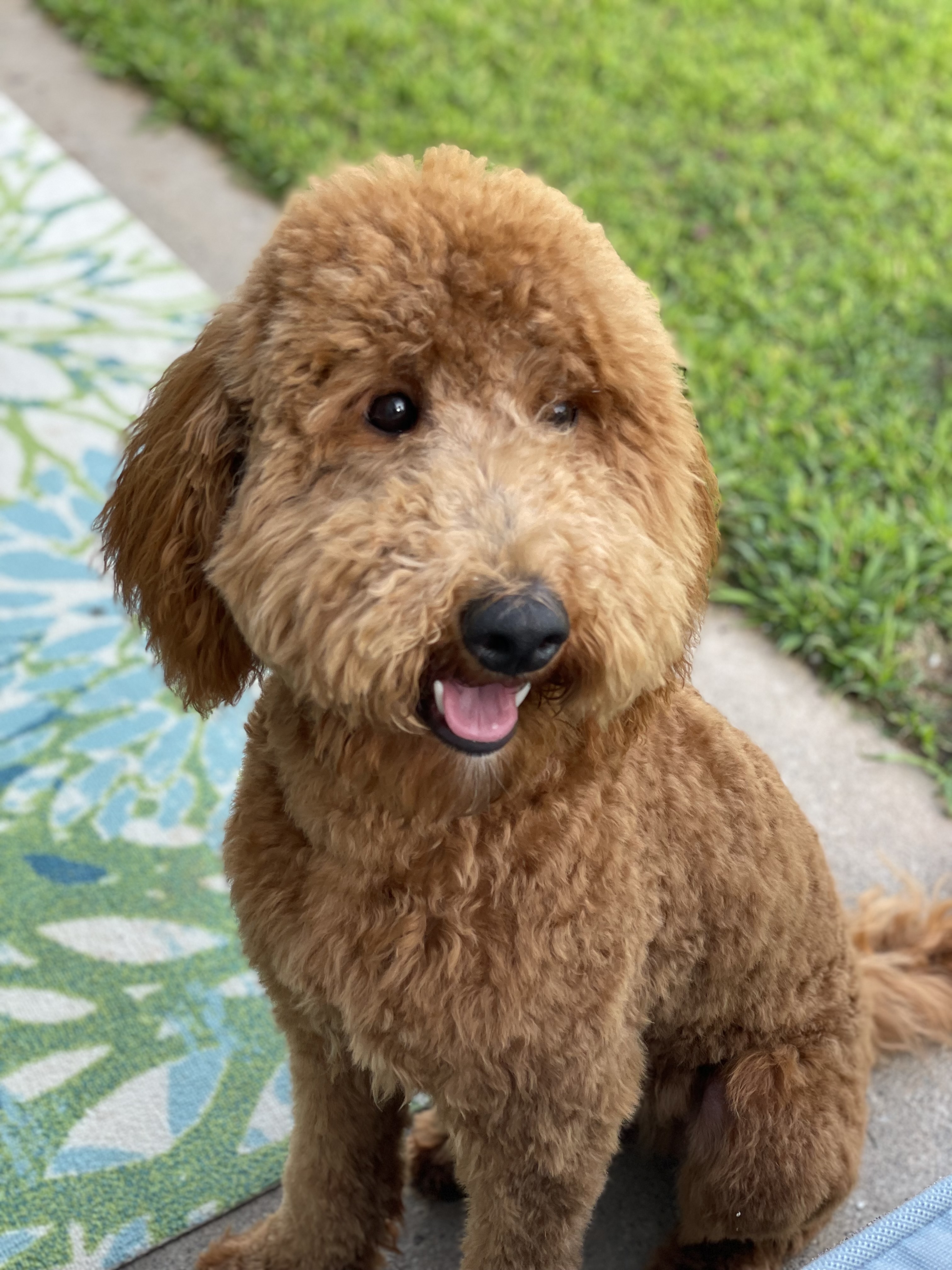 Coco