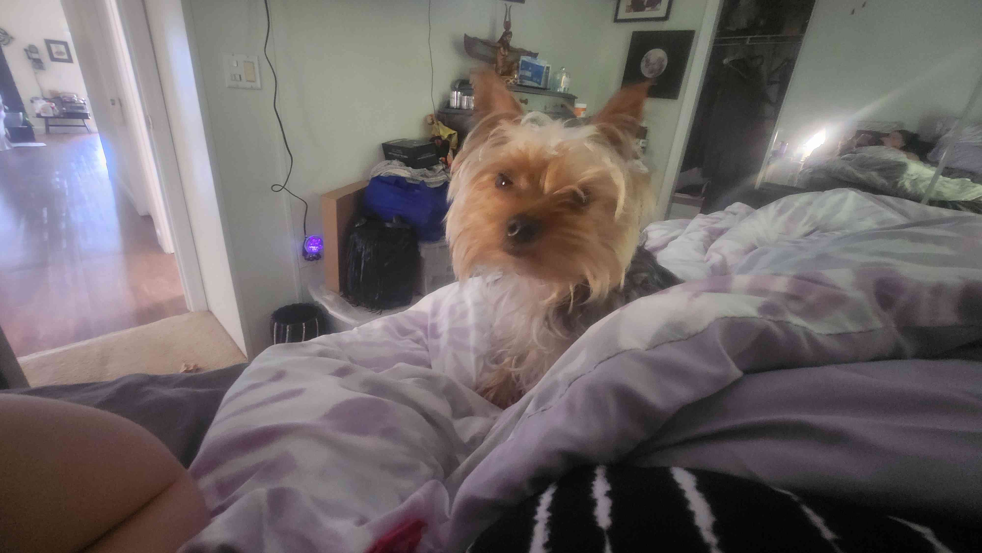 Luna 