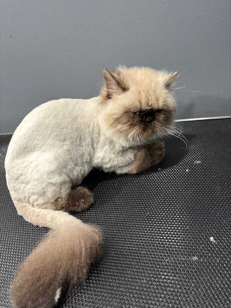 Chloe