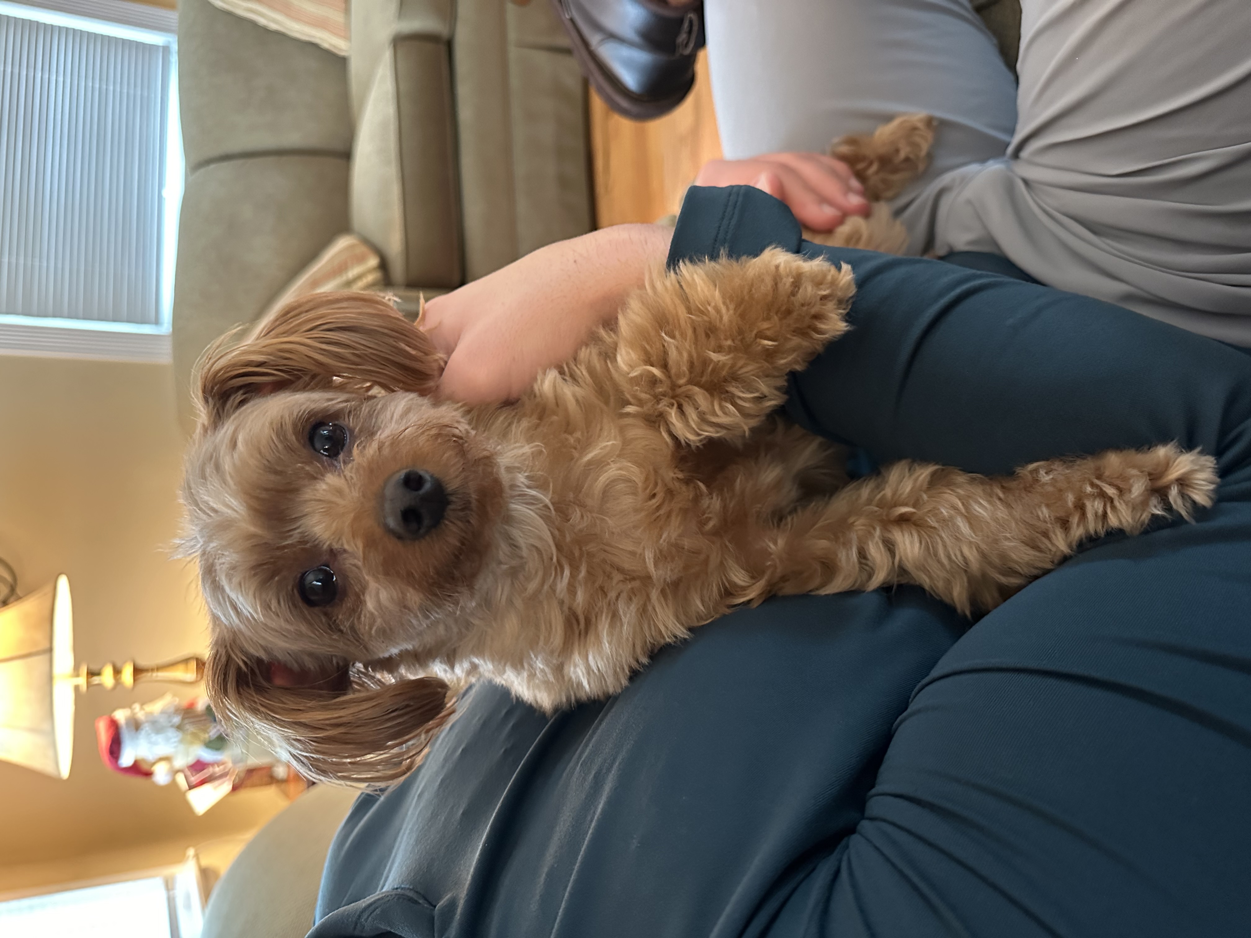 Benji