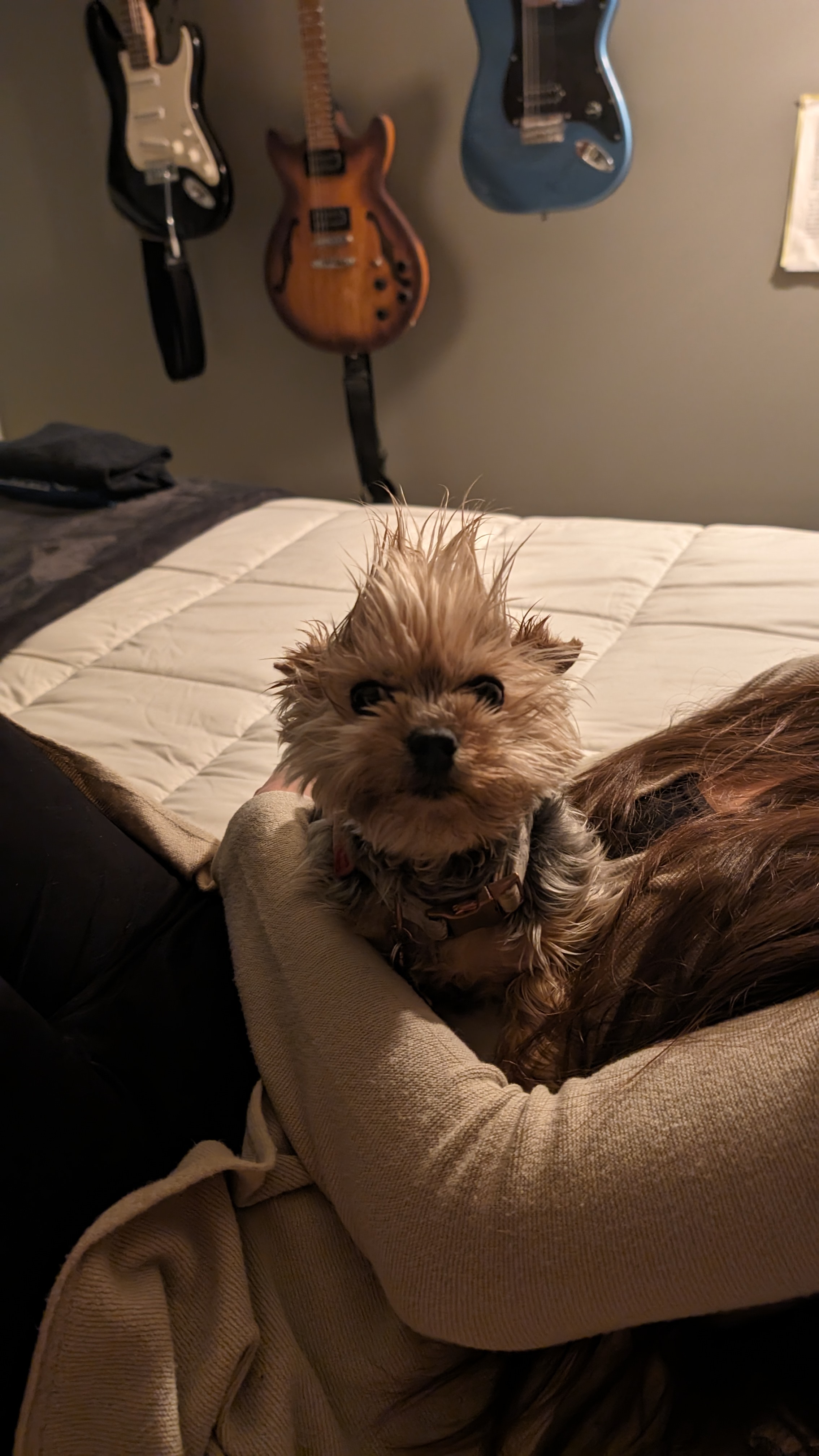 Penny
