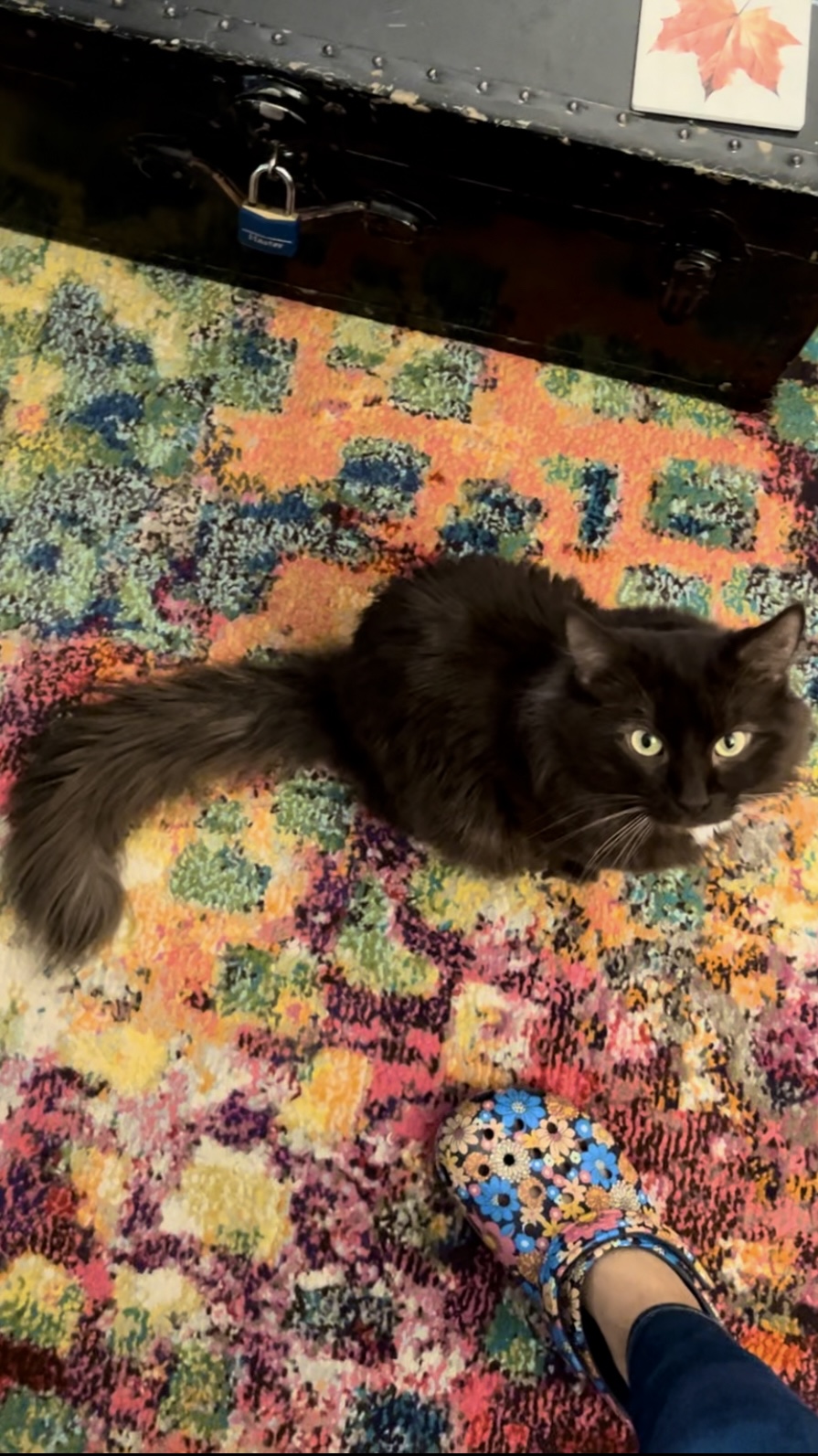 Finn