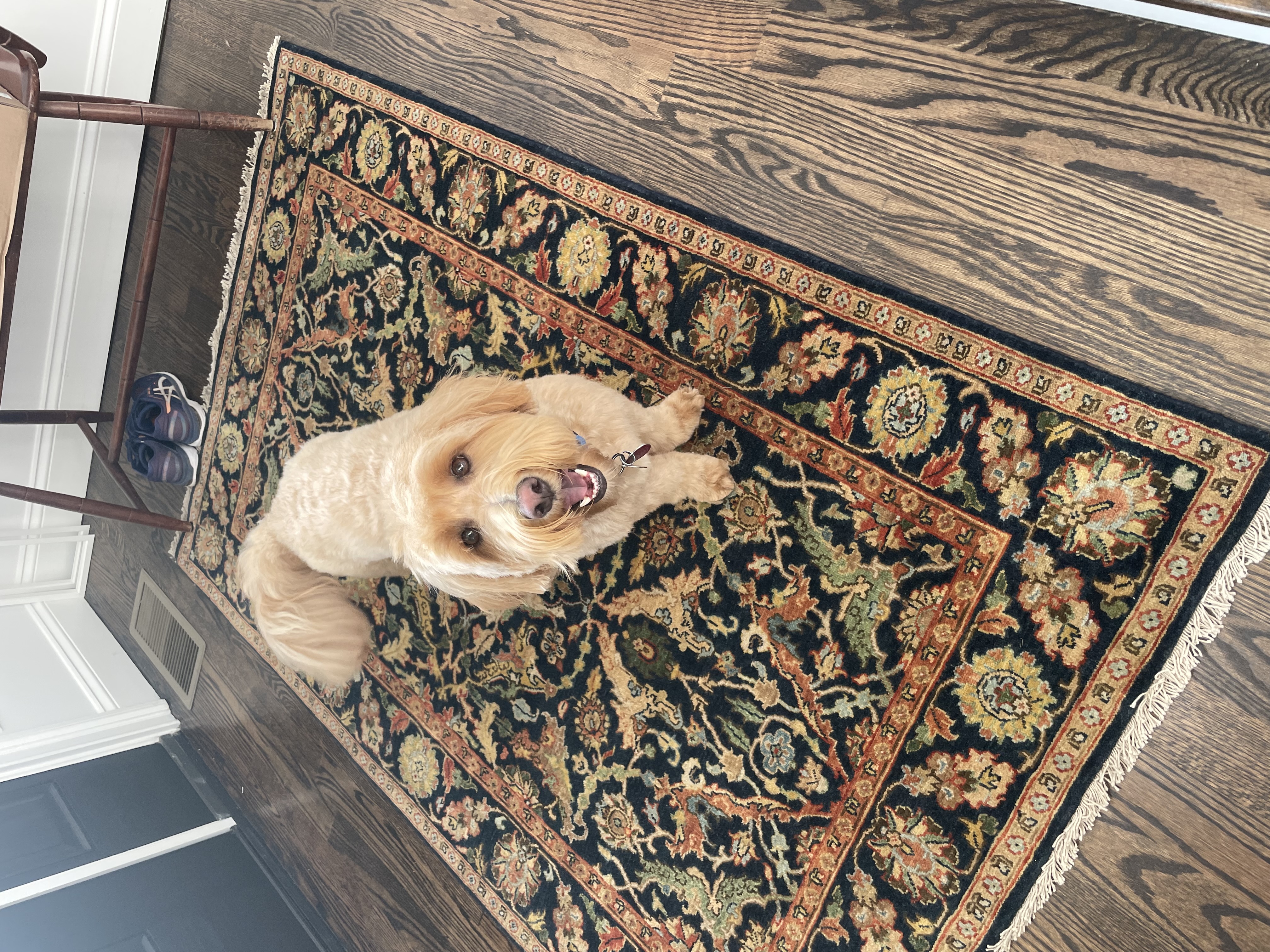 Cooper