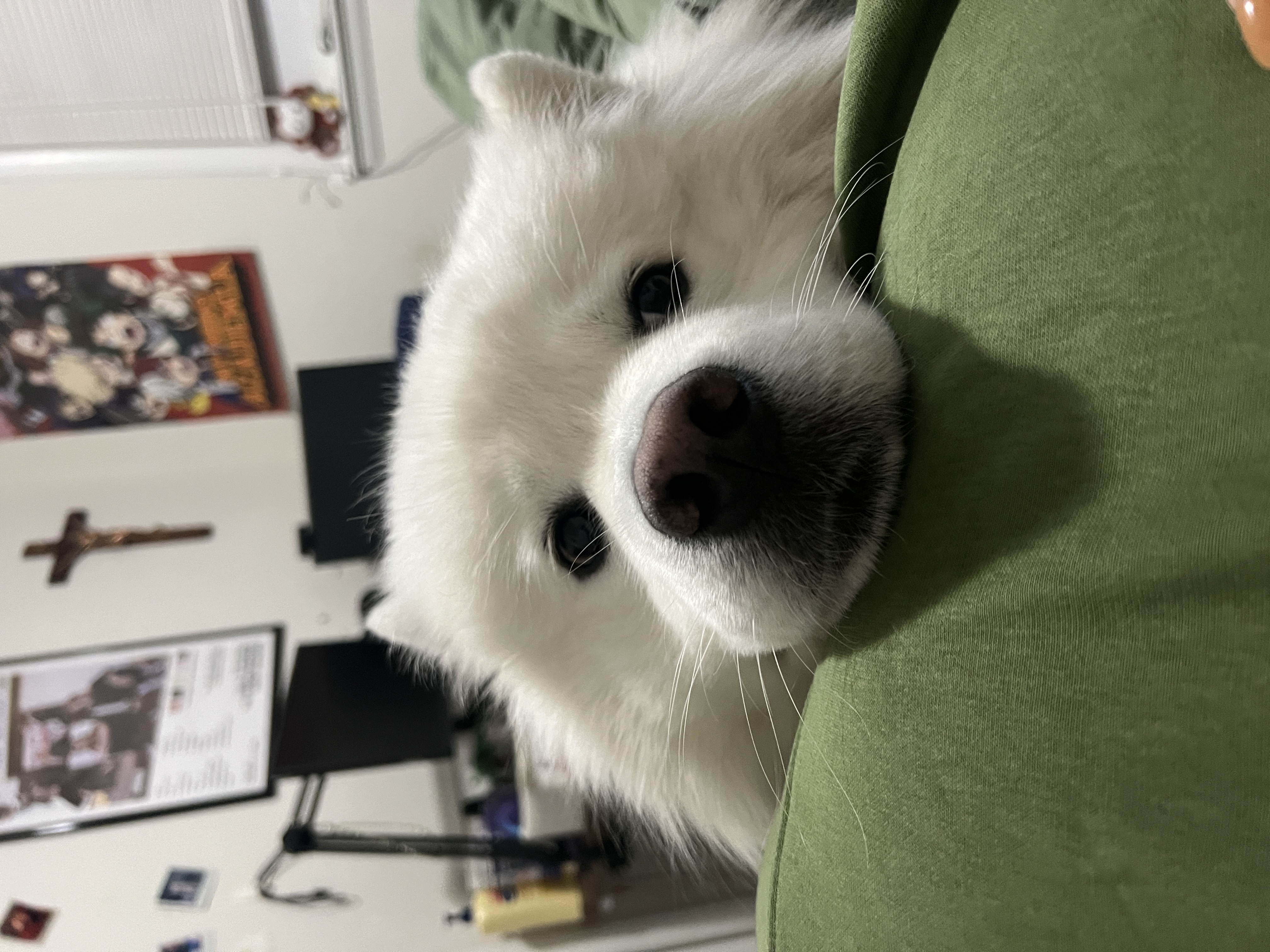 Miko
