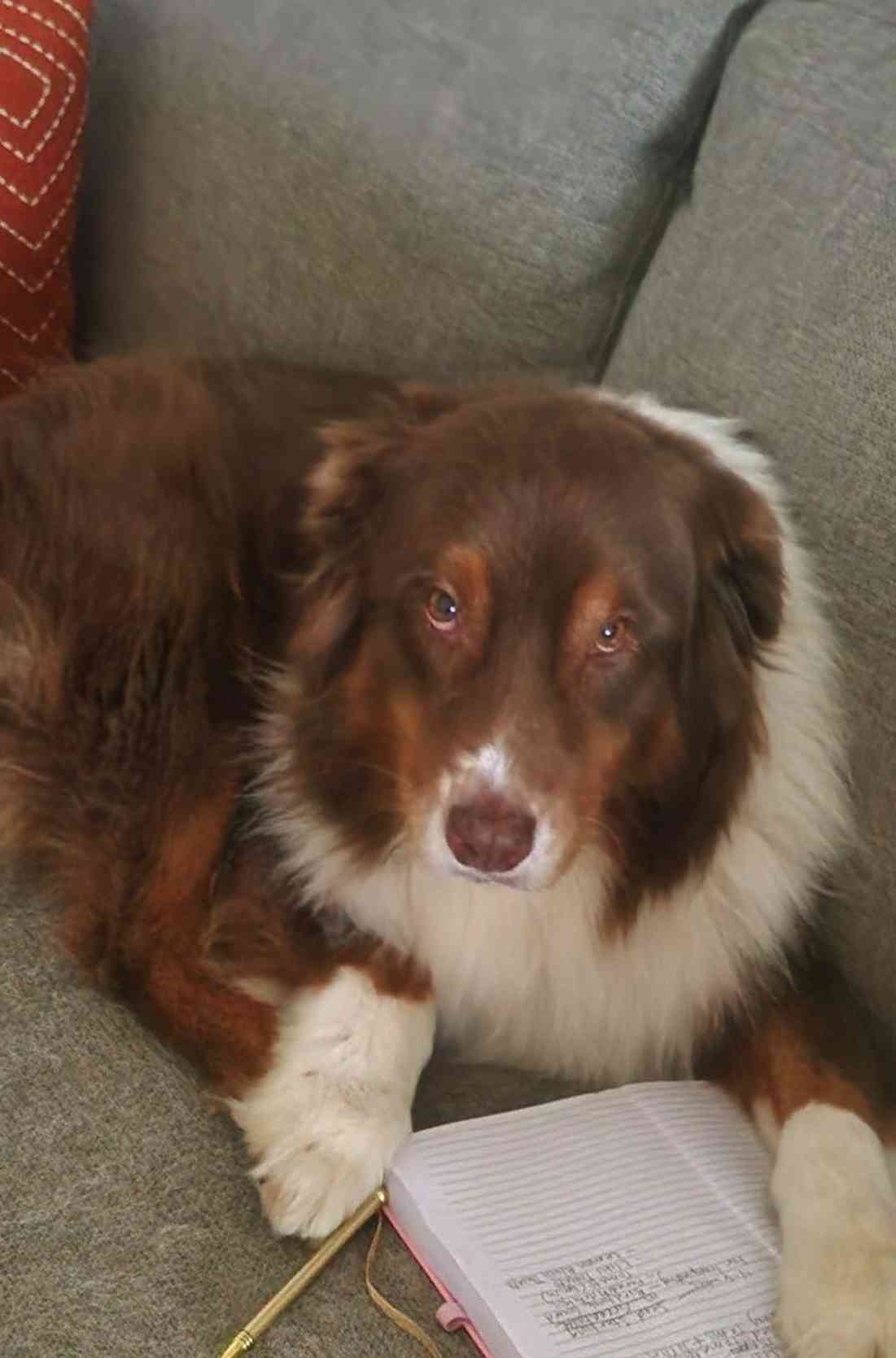 Riley