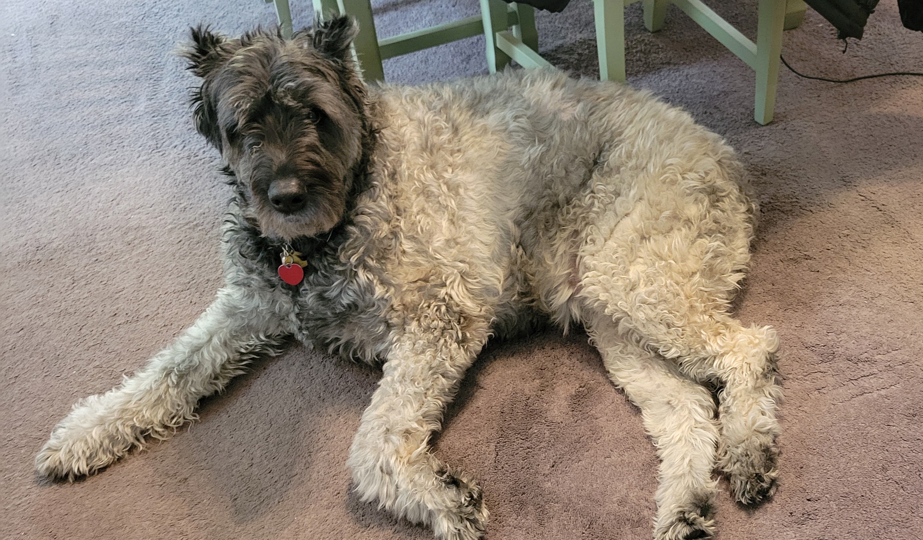 Sadie