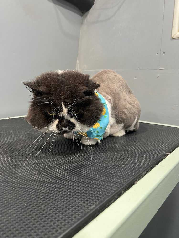 Wilbur