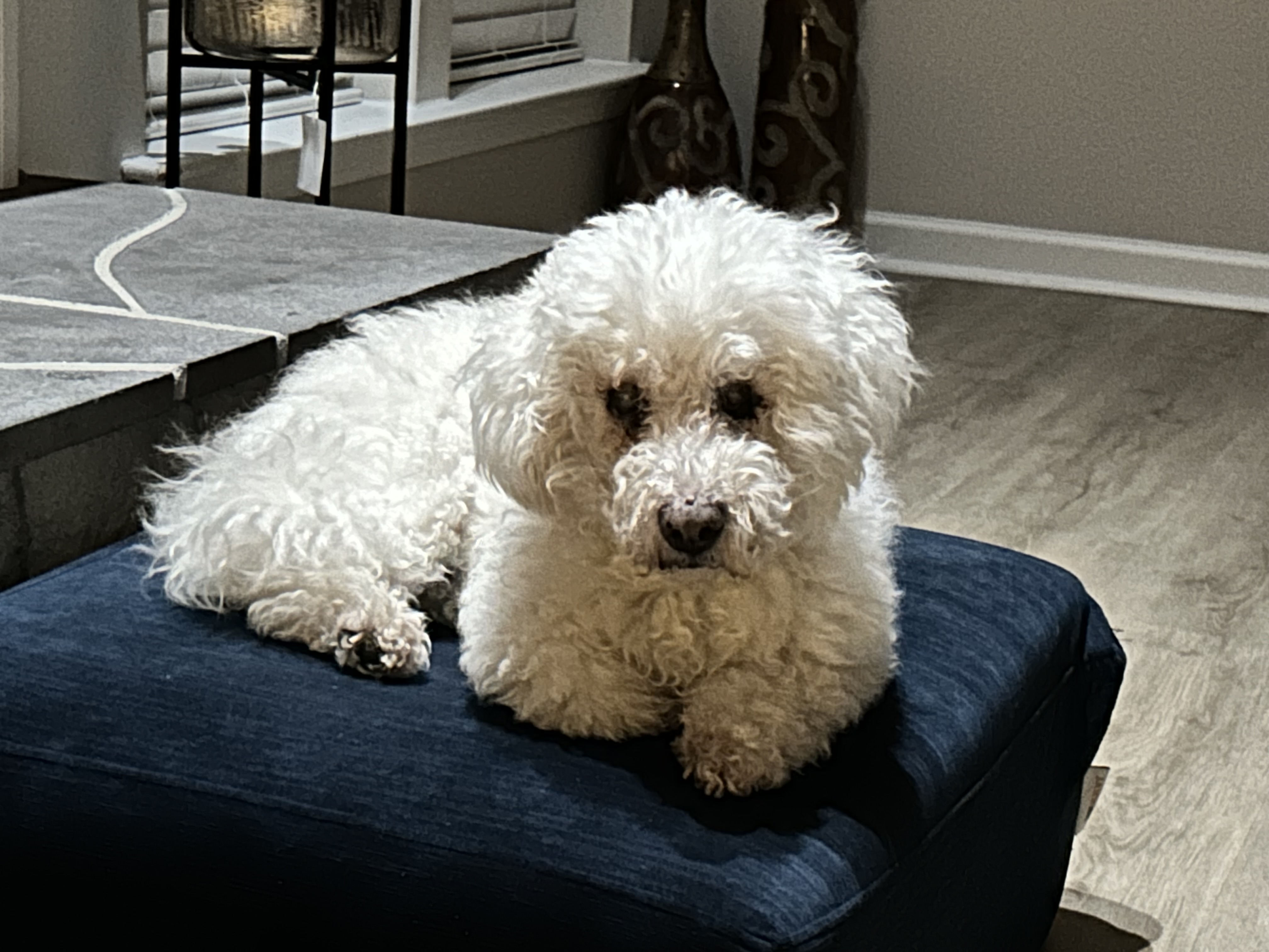 Hogan