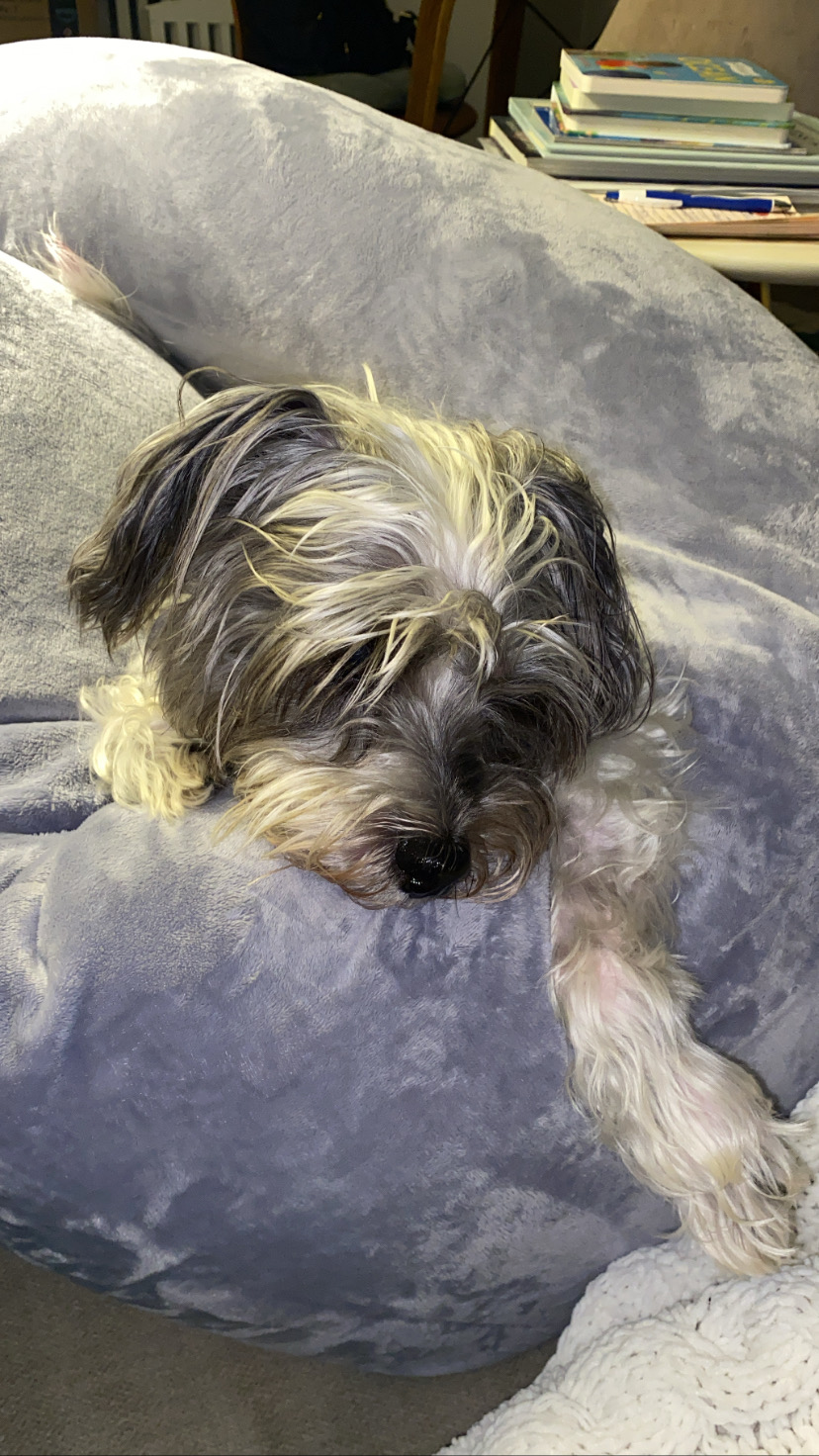 Petey