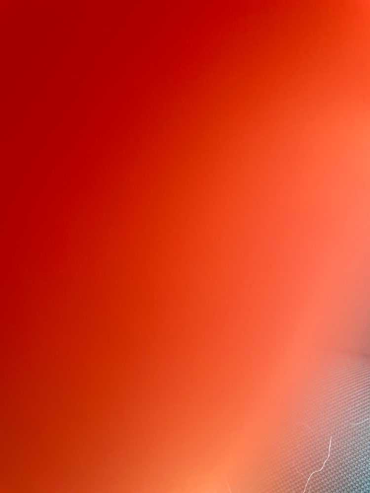 Brutus