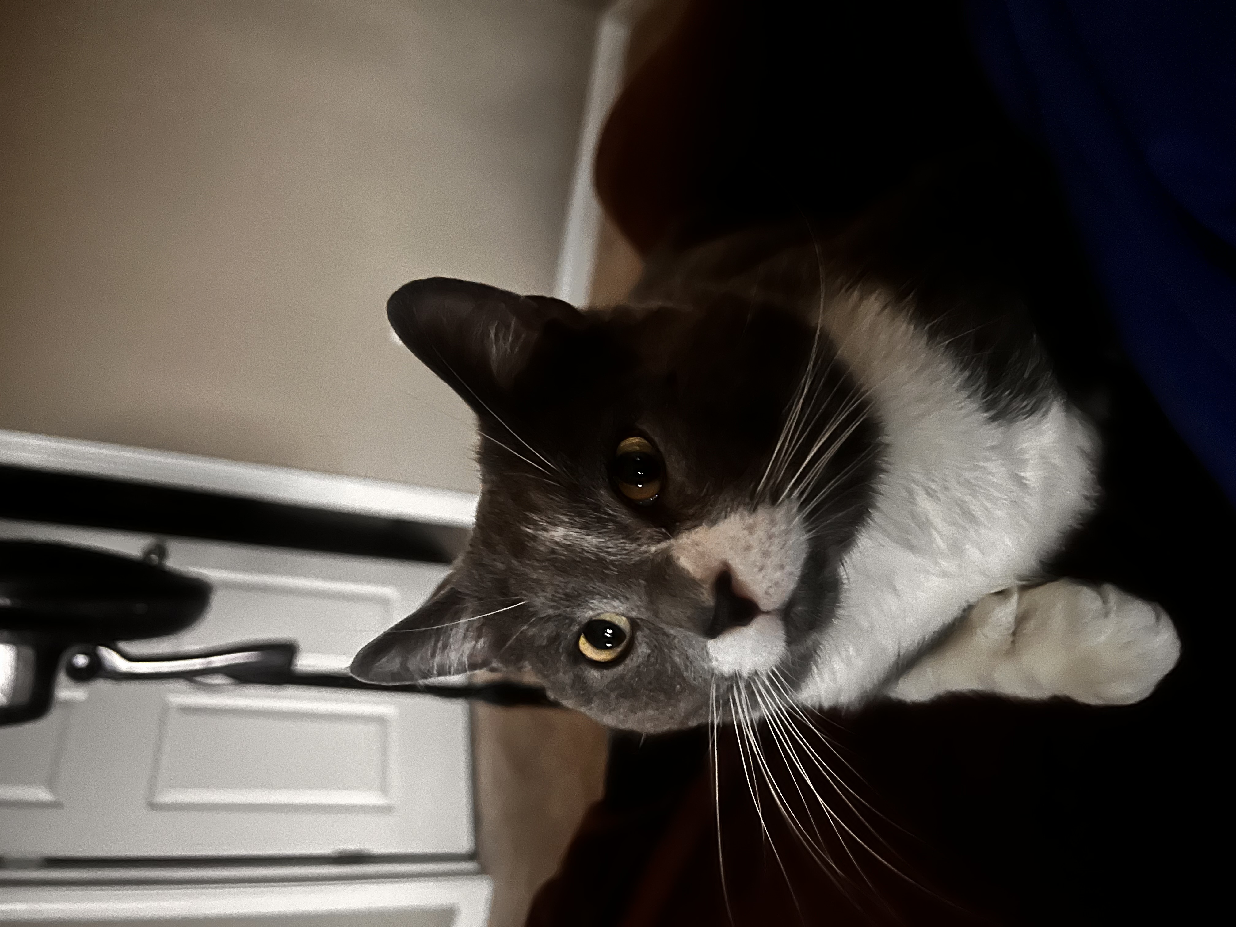 Al