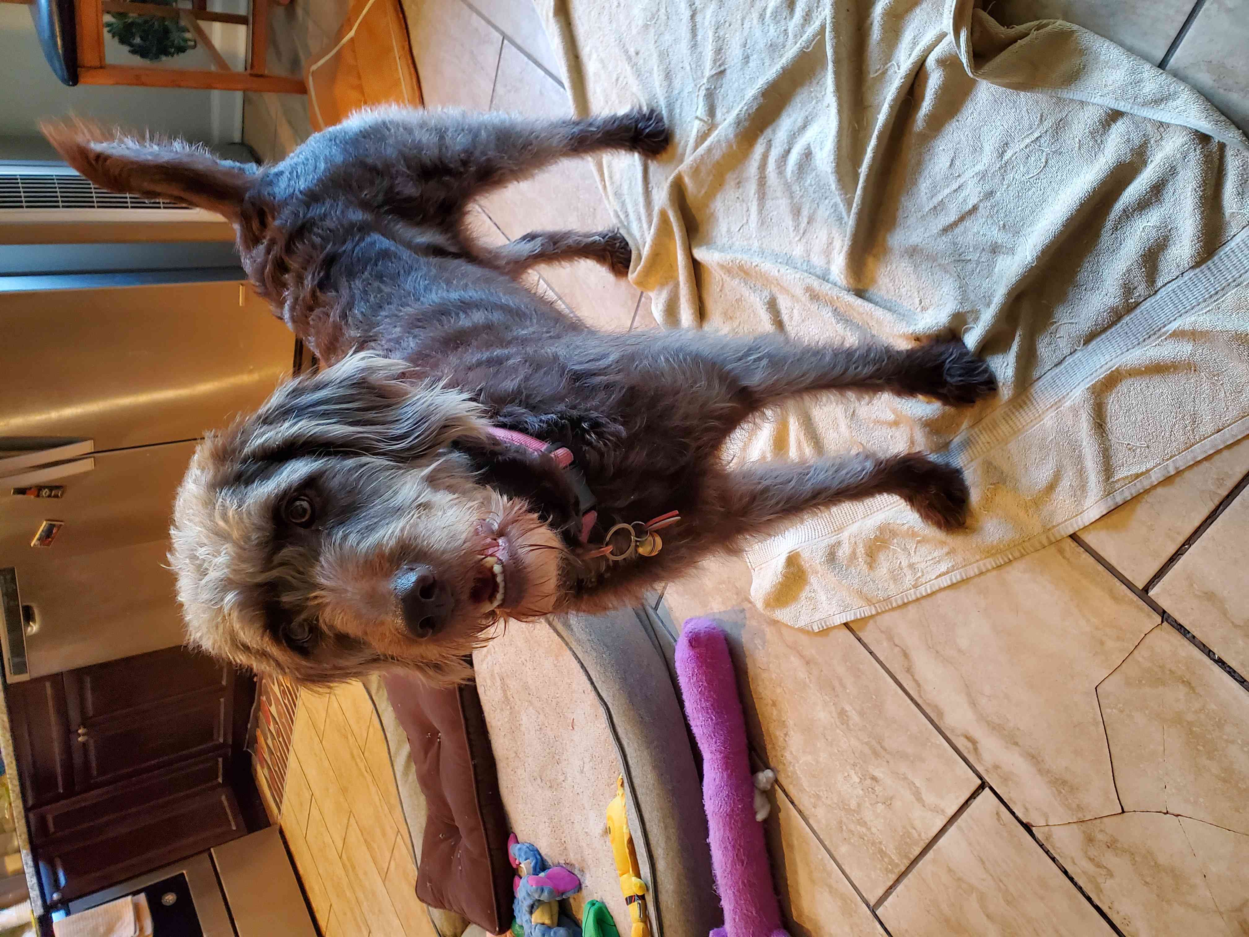 Coco