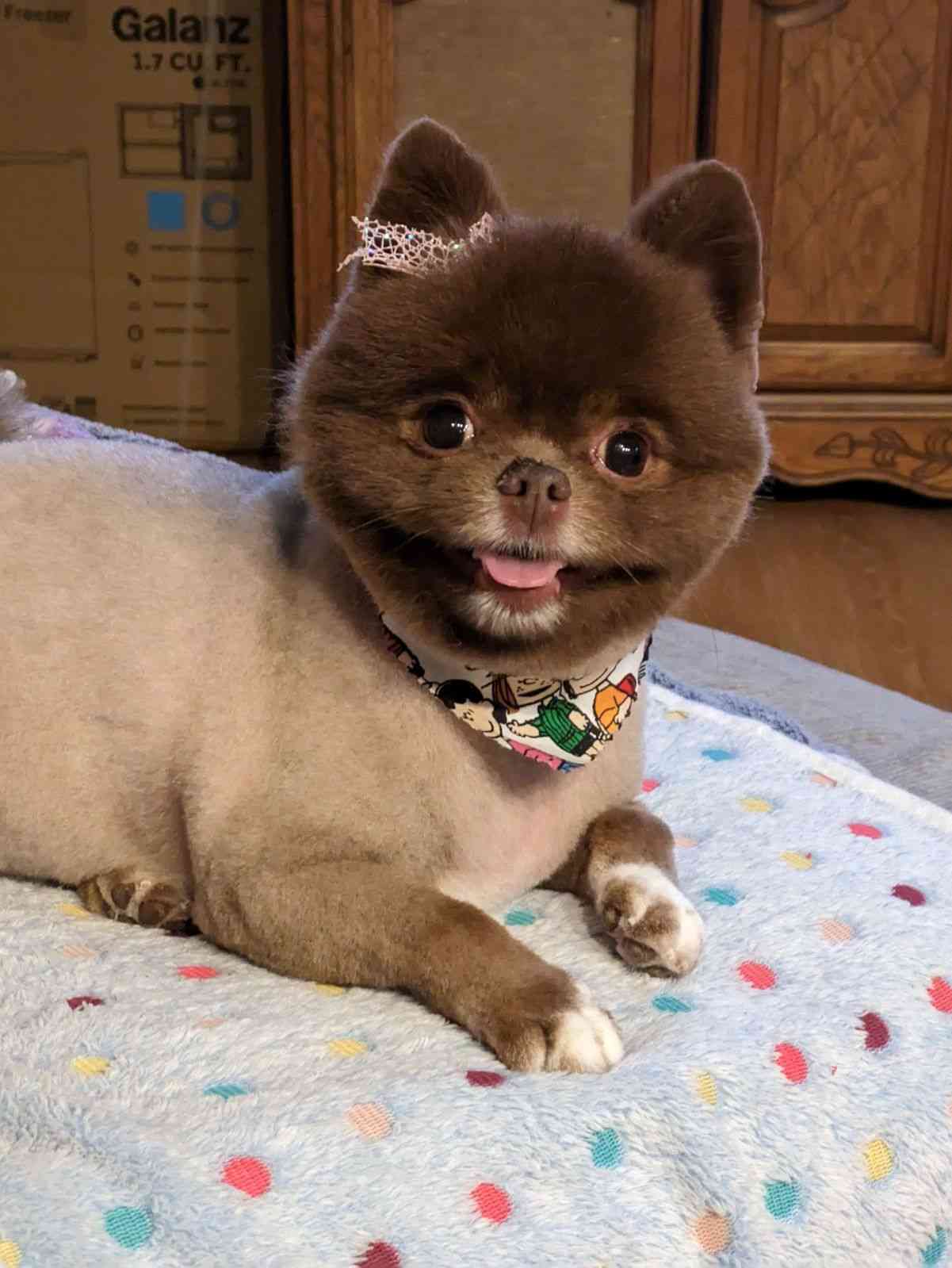 Frankie. (Female)
