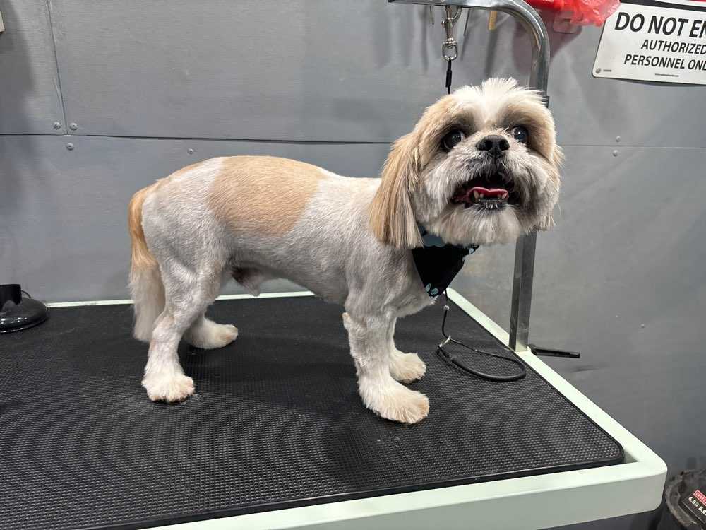 Coco