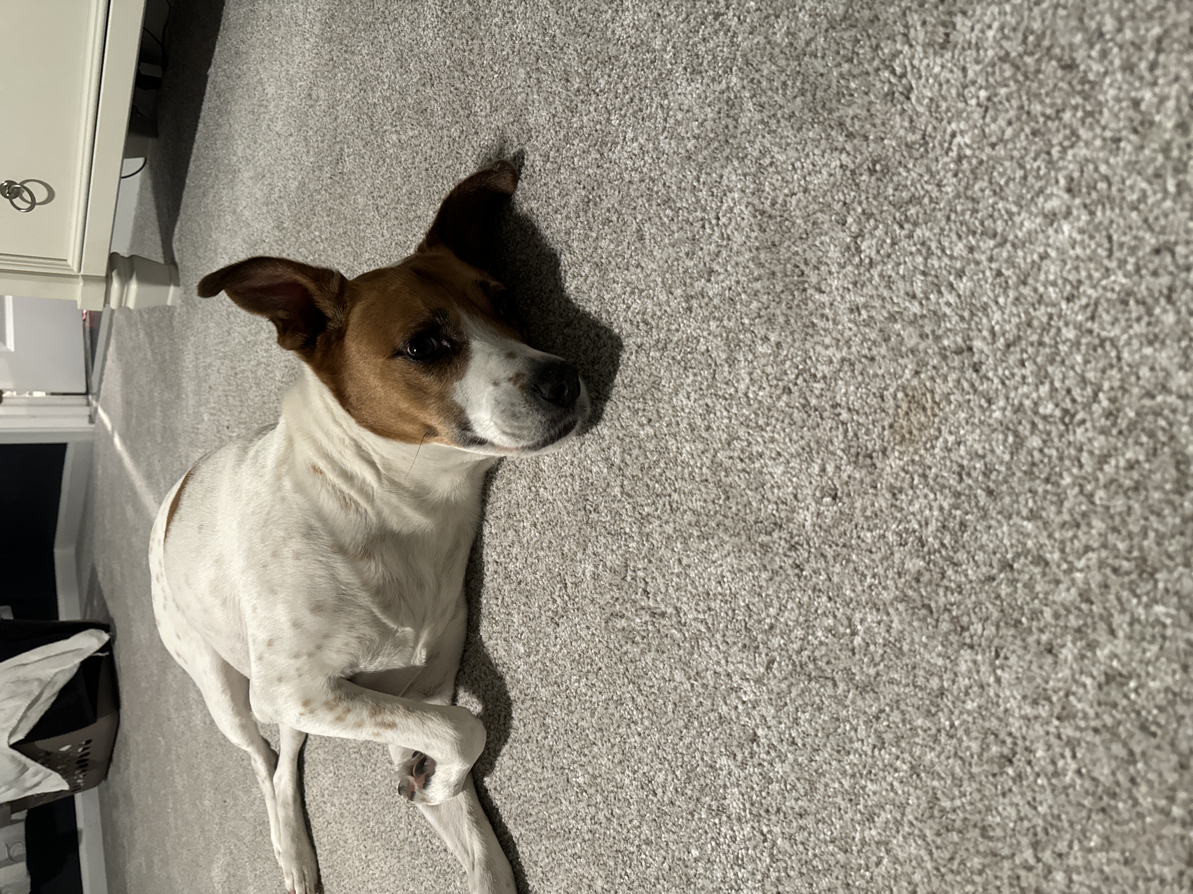 Abby