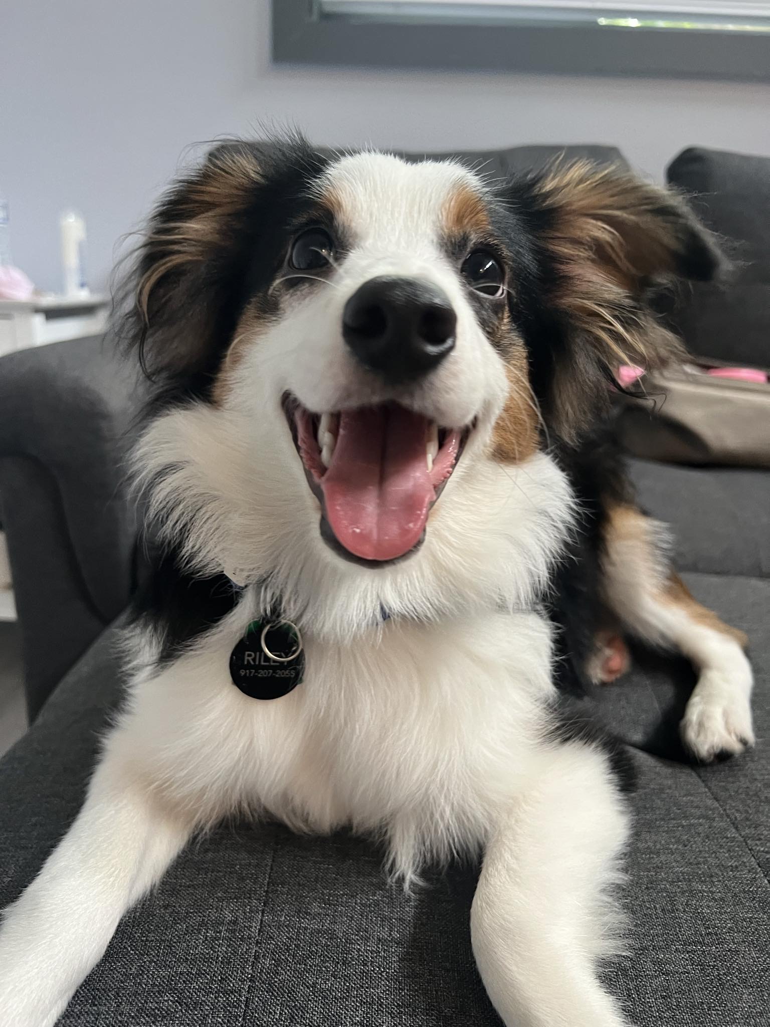 Riley