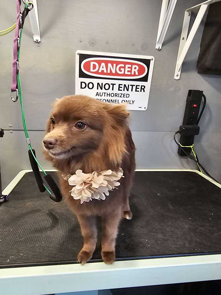 Jasper