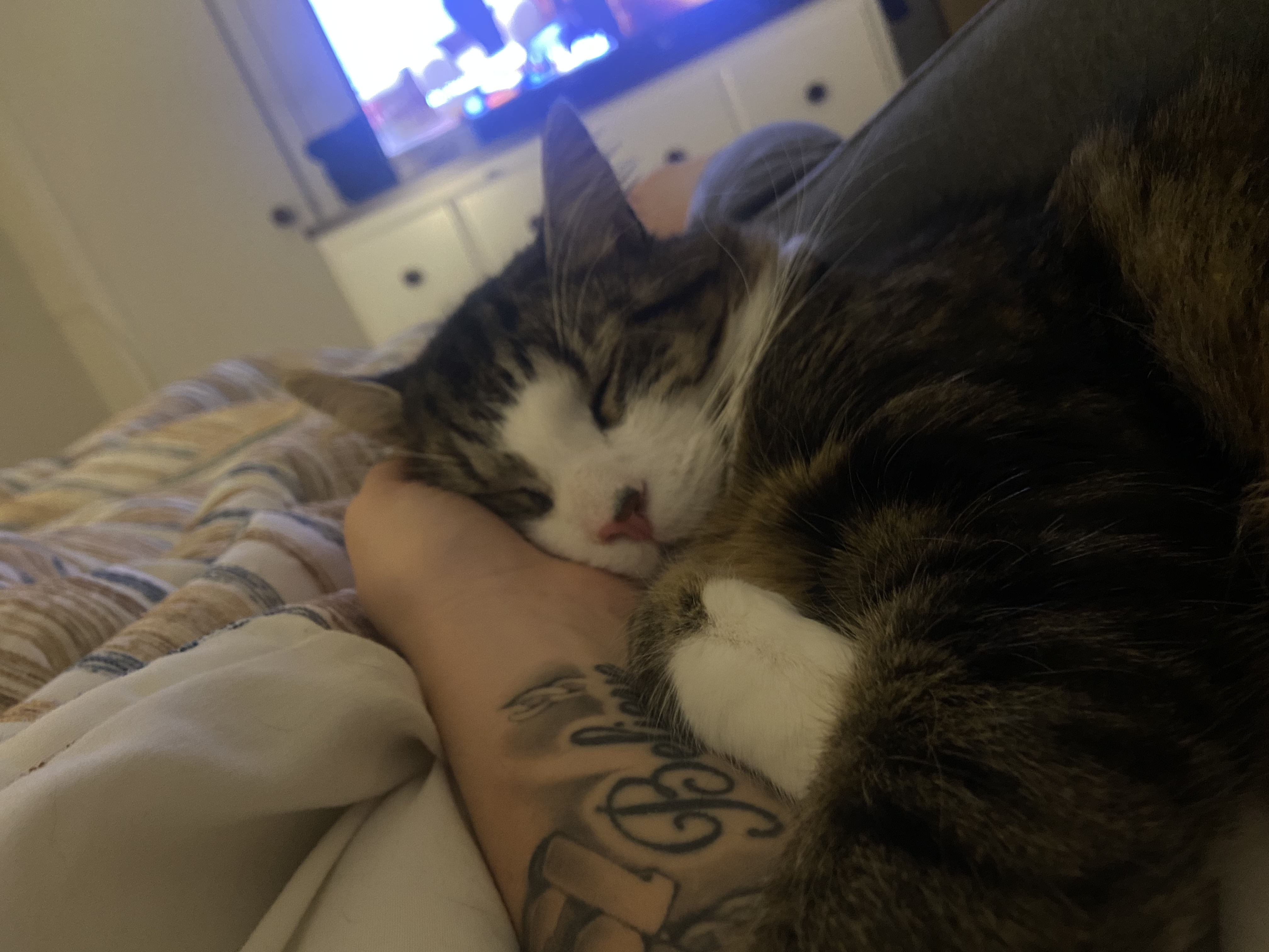 Patch 