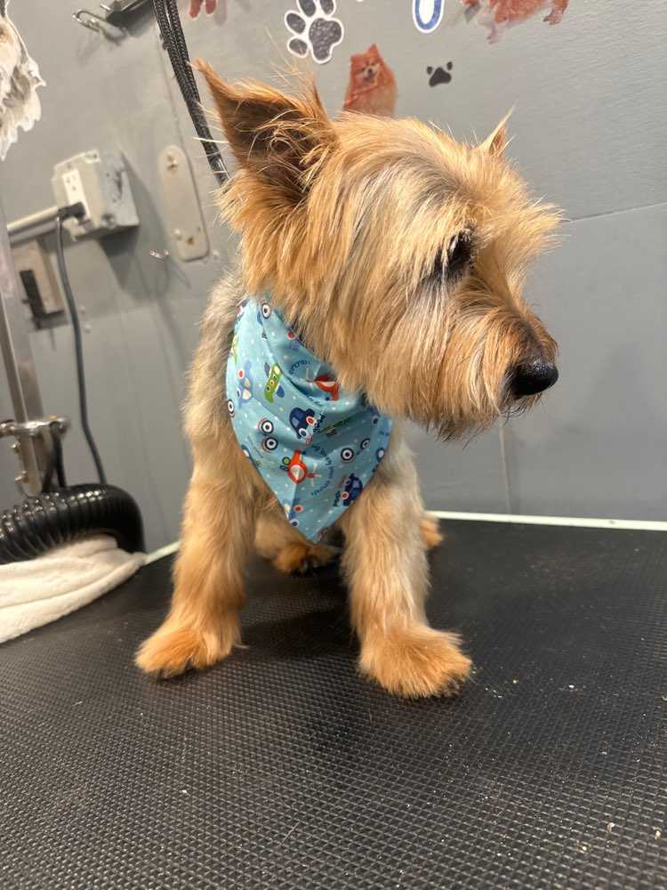 Max