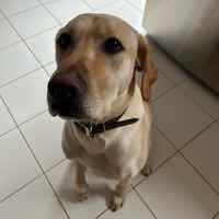 Jude