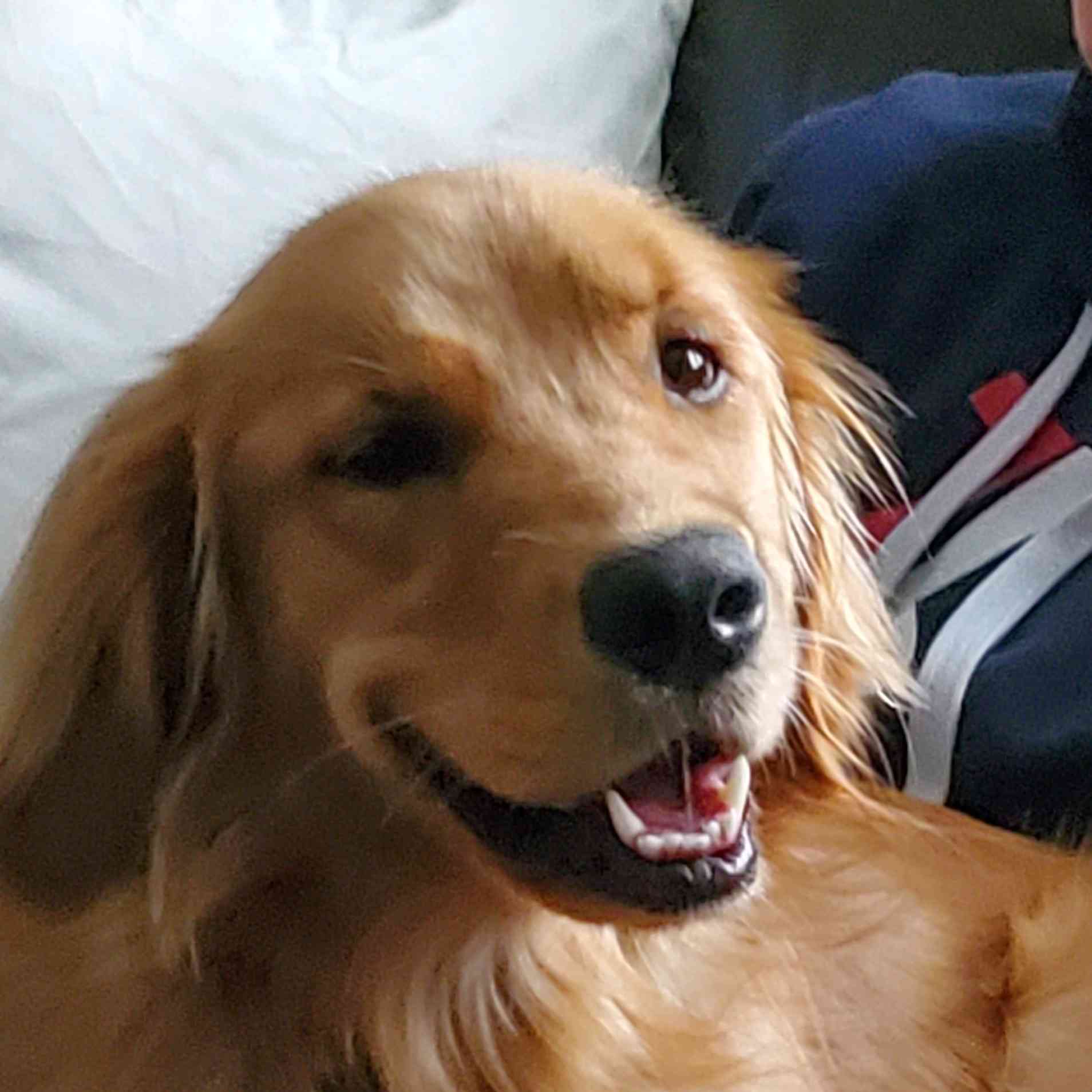 Maxey