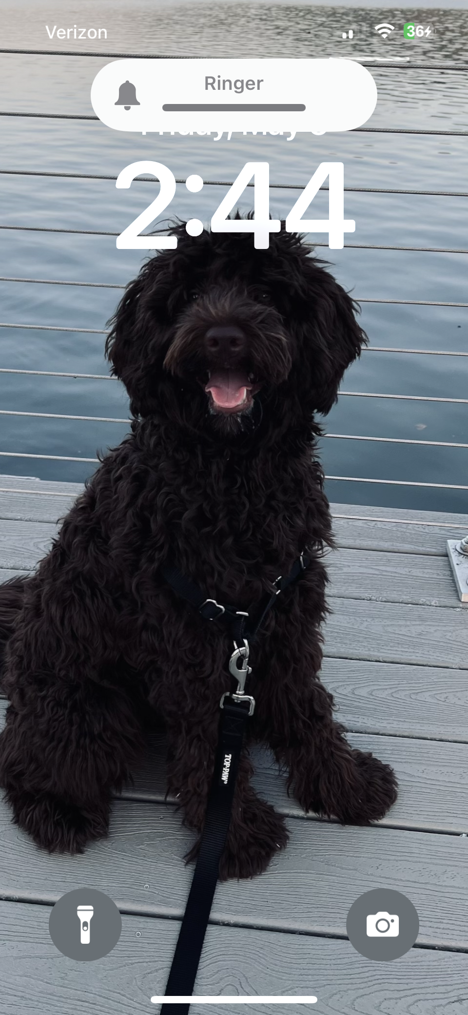 Oscar 