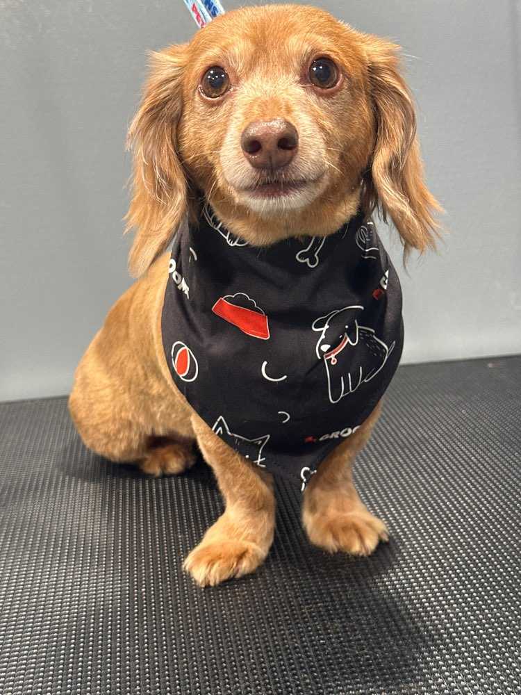chloe