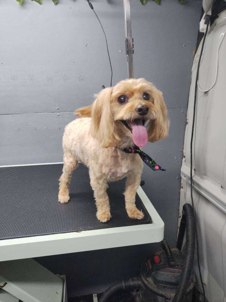 Milo