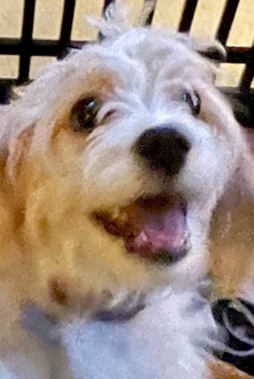 Marley