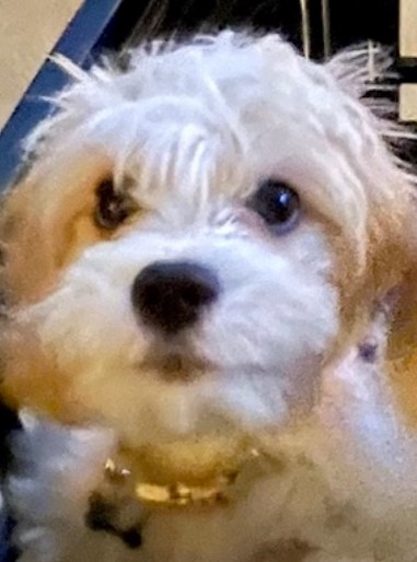Charlie