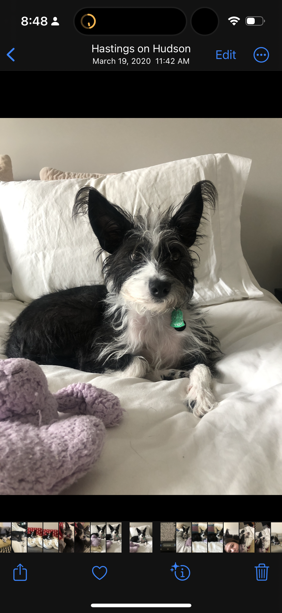 Maeby