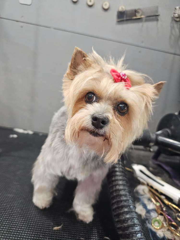Mya