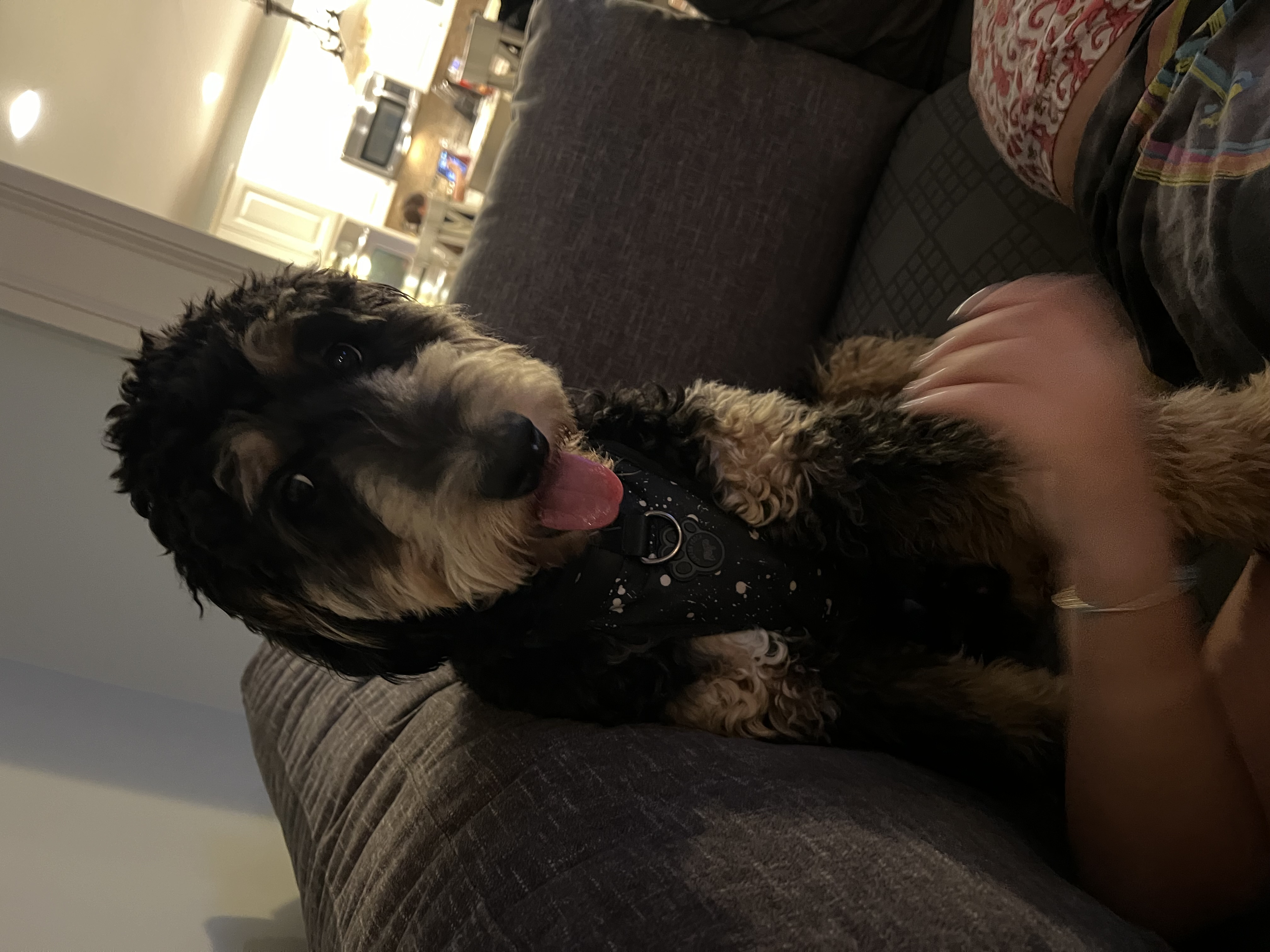Charlie 