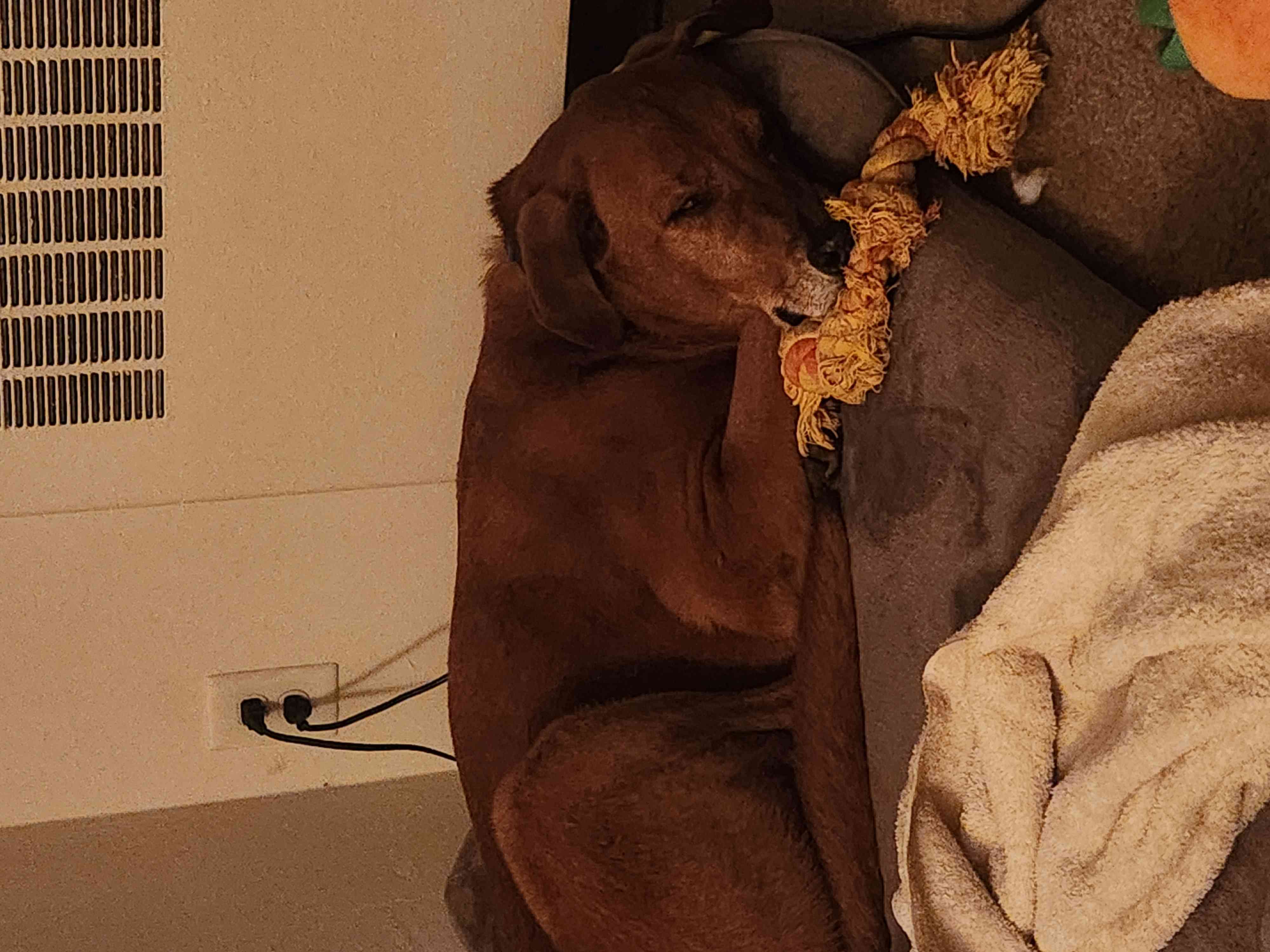 Jax