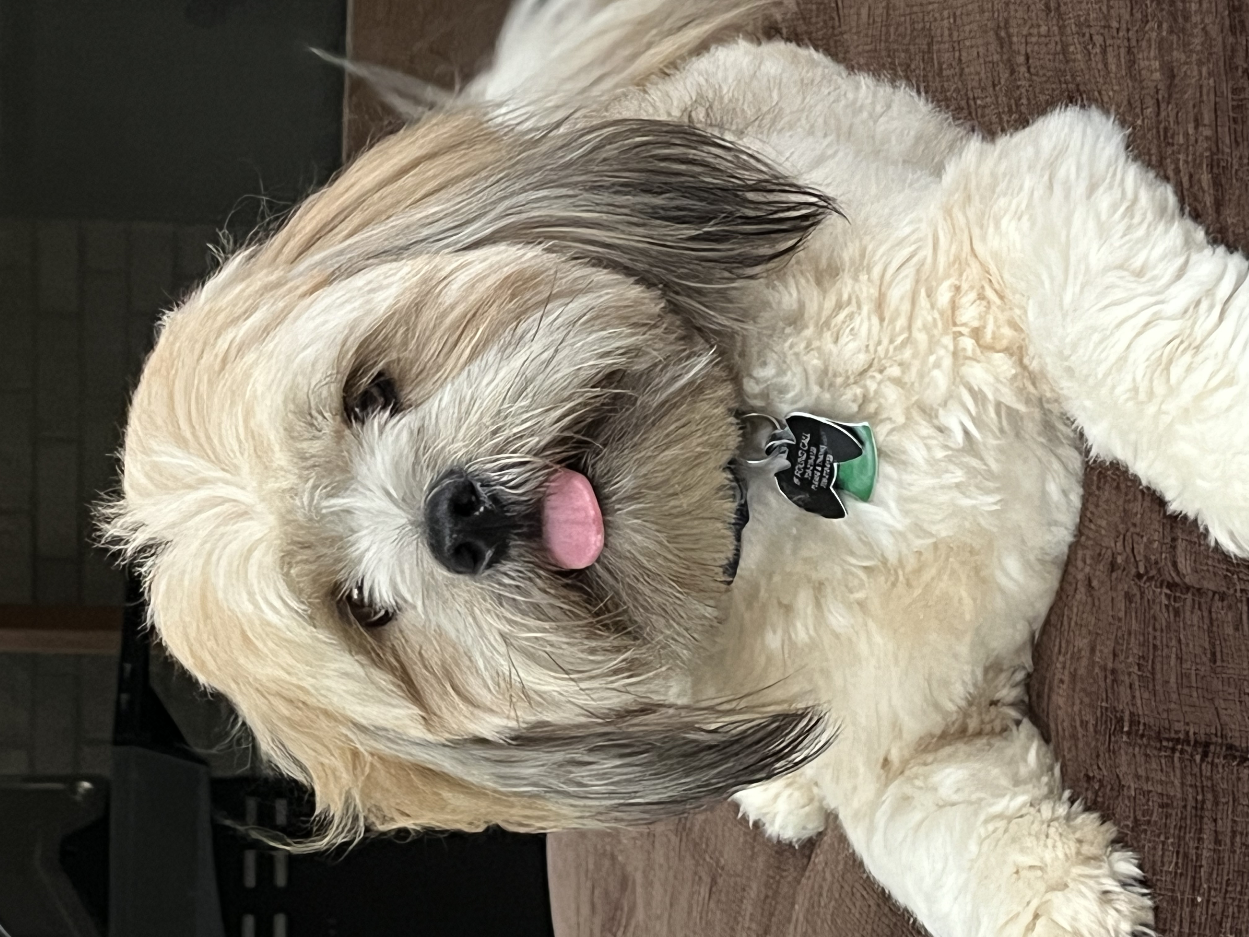 Cooper