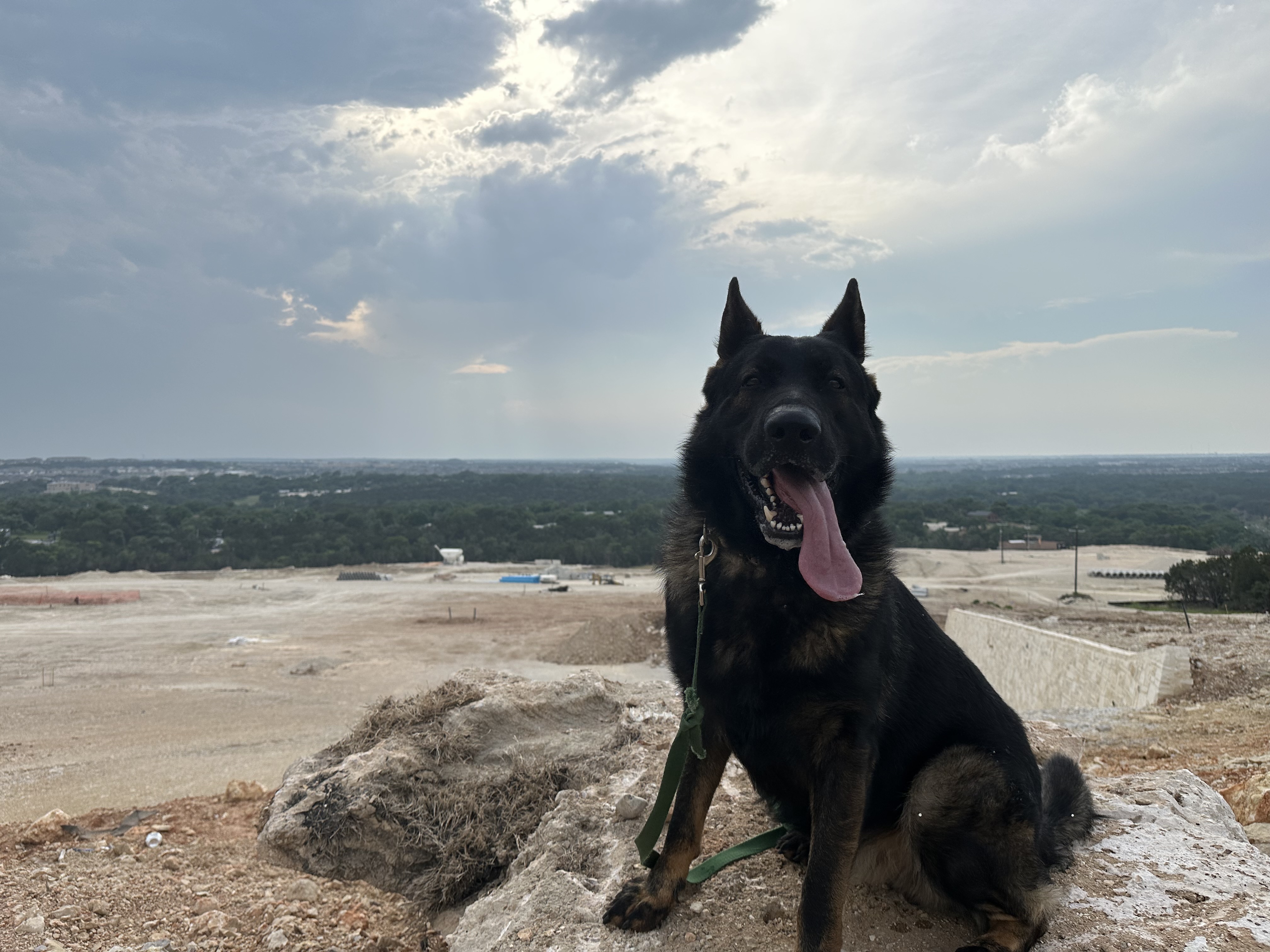 Odin