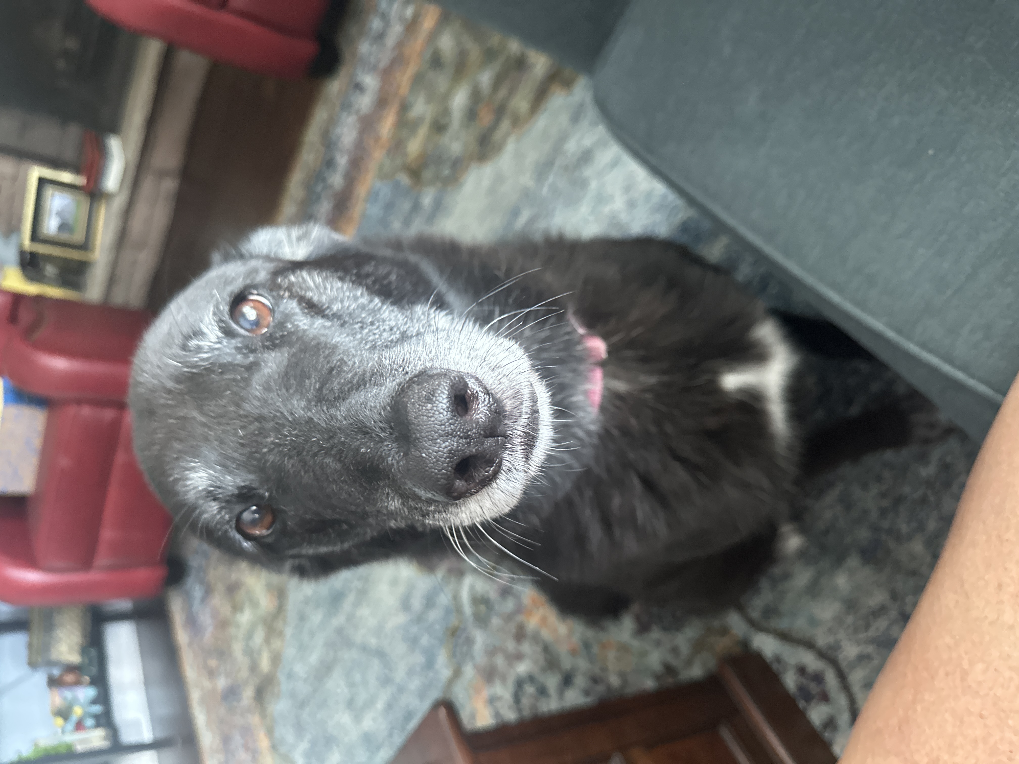 Fiona 