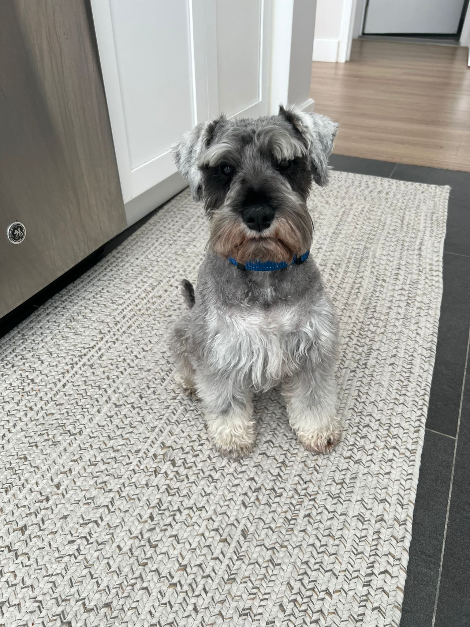 Max