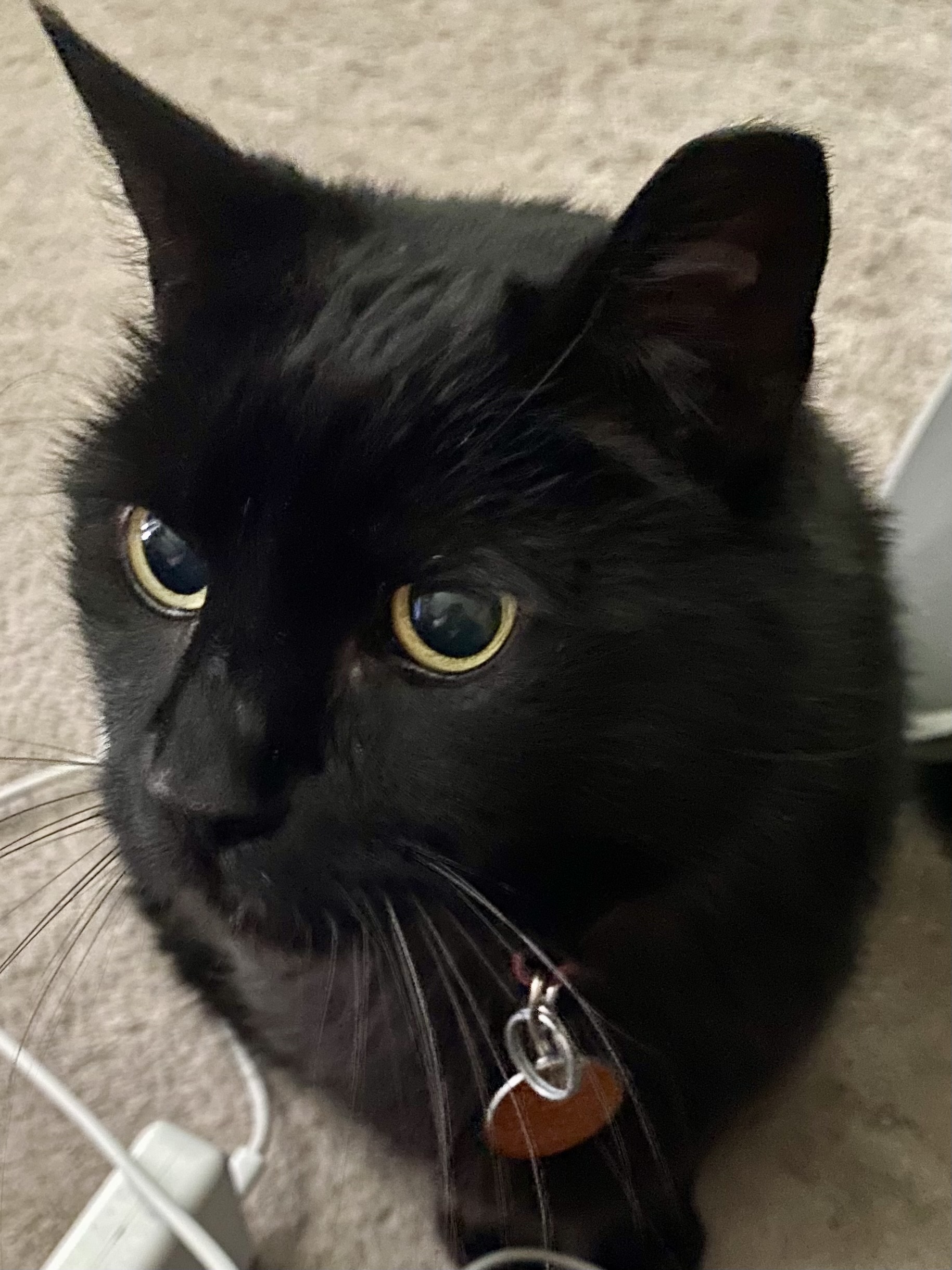 Edmund