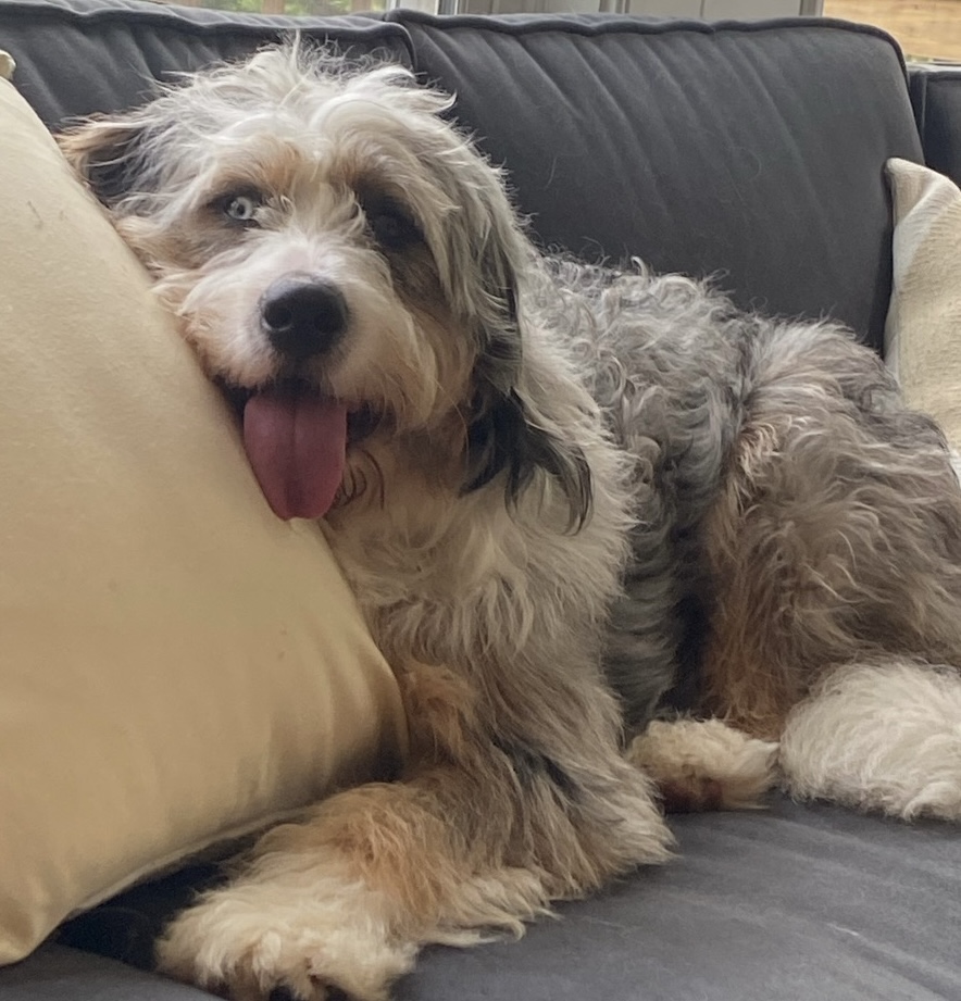 Gus