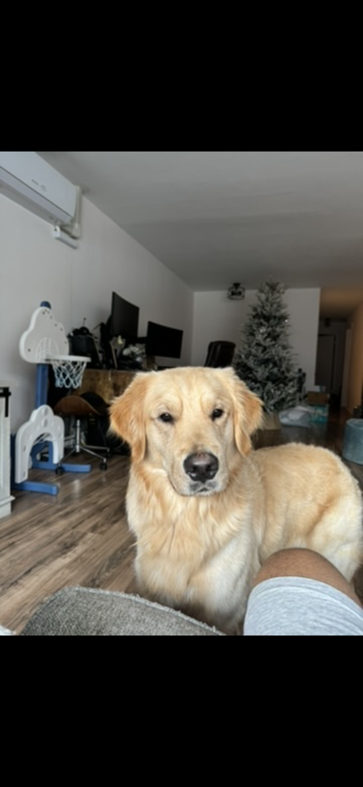 Bailey