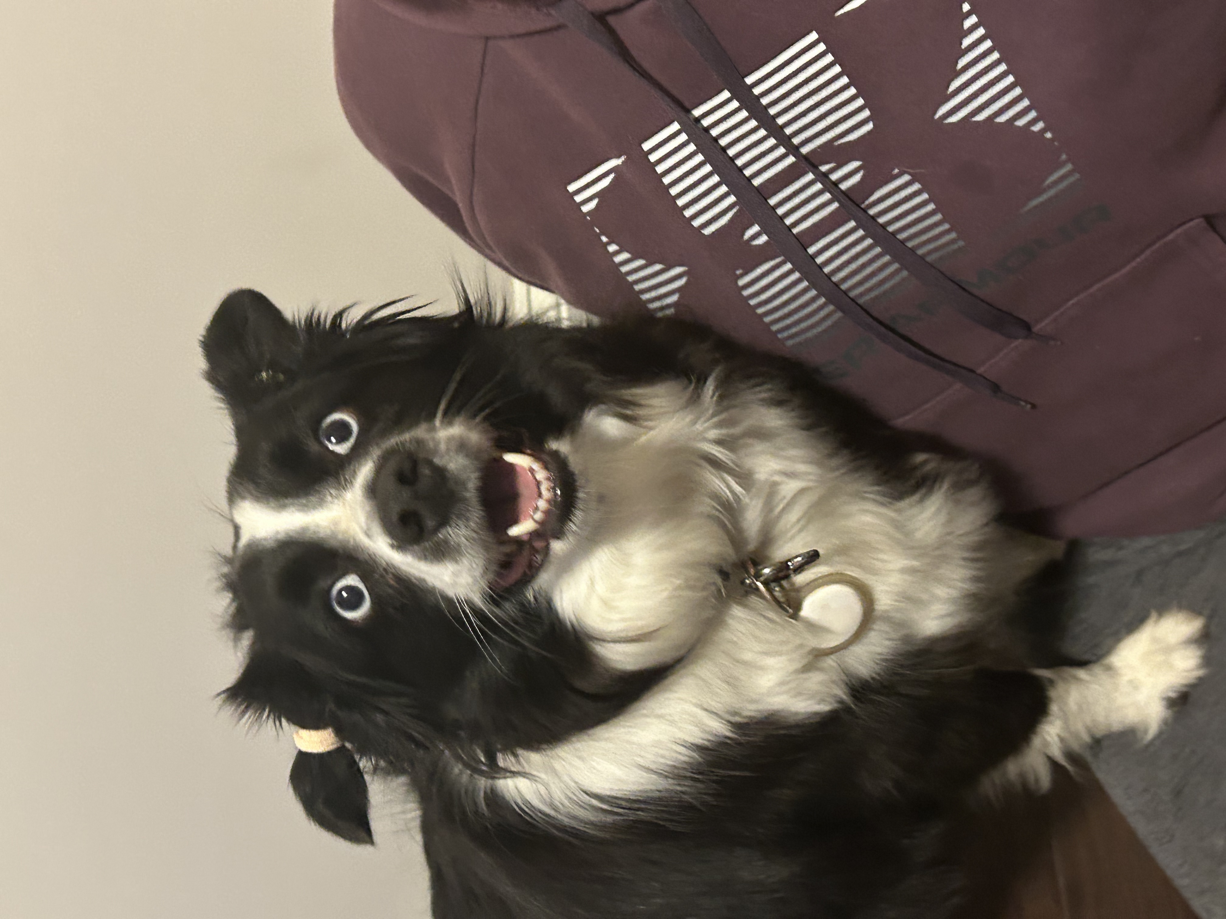Maverick