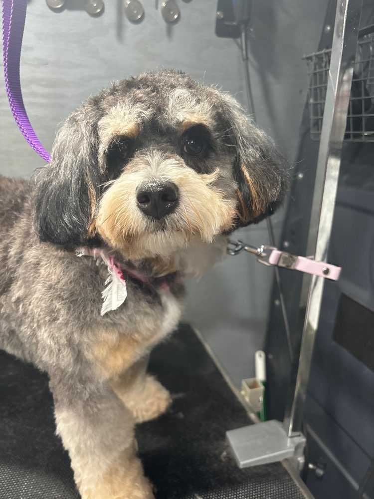 Millie