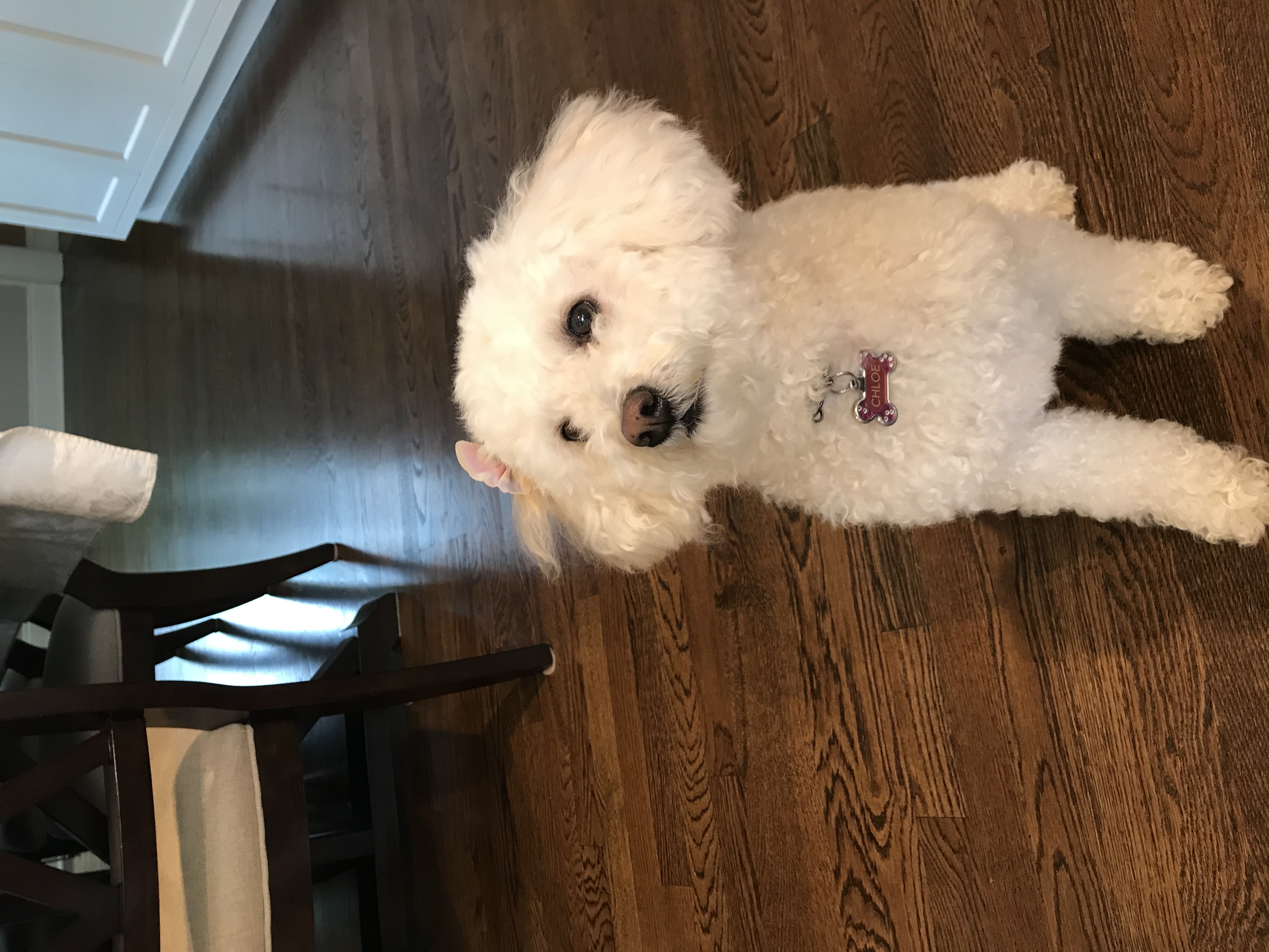 Chloe