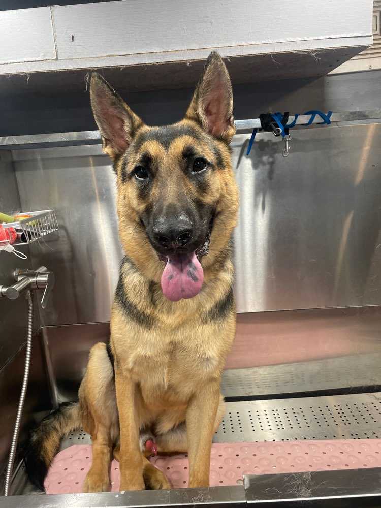 Logan